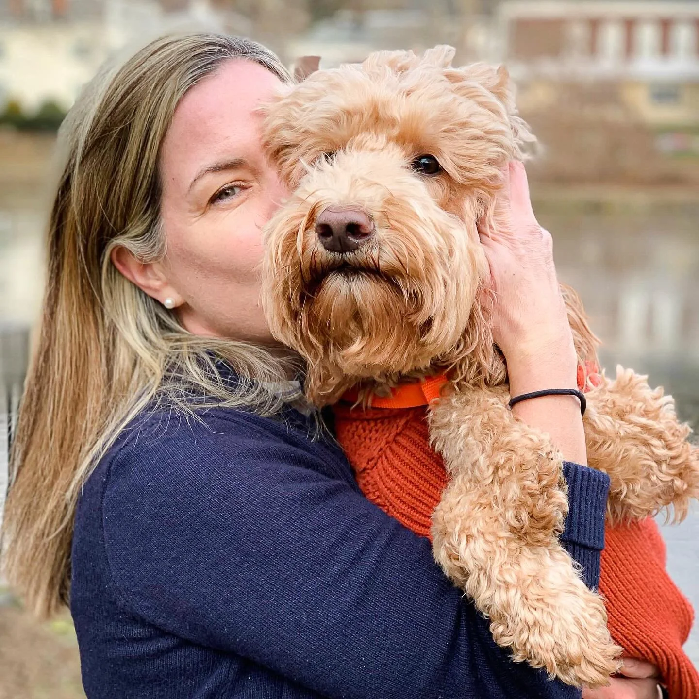 It&rsquo;s been a long week.

One week ago today we said goodbye to our sweet Riley after 14&frac12; years of love, laughs, snuggles, and companionship. 

Riley came to us when the kids were nine, eight, and six. Those formative years. He became the 