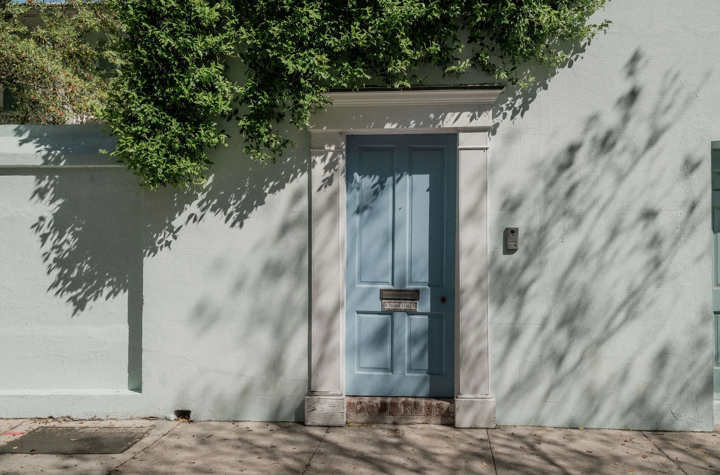 A light blue front door set in a white wall with a mail slot in shadow of a tree cast on the wall and sidewalk on Tradd St. in Charleston, with bushy greenery above the door and a smaller shrub to the left.