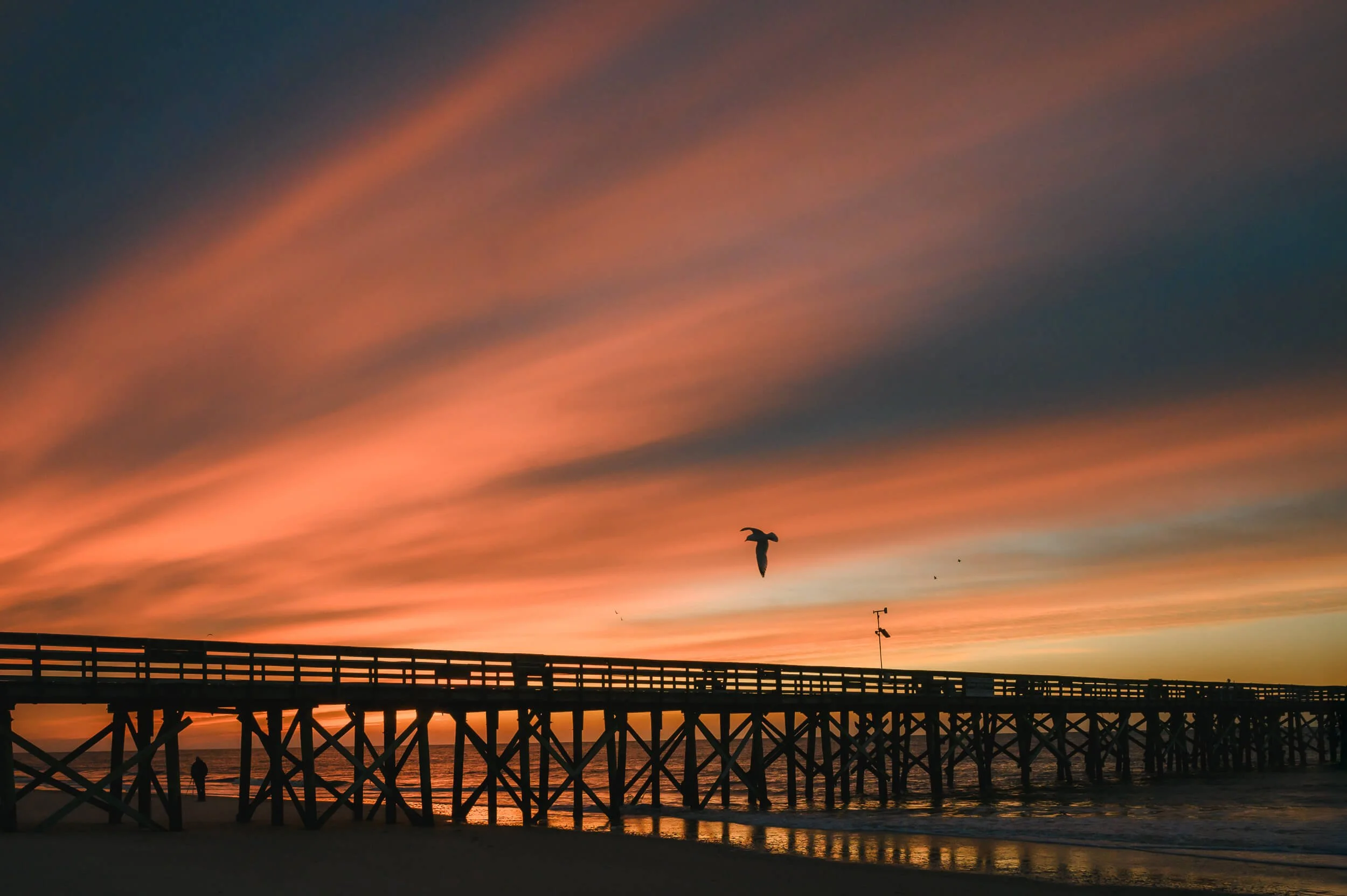 Sunset sky over a pier with silhouettes of a person, a seagull in flight, and seagulls flying nearby, reflections on the ocean surface.