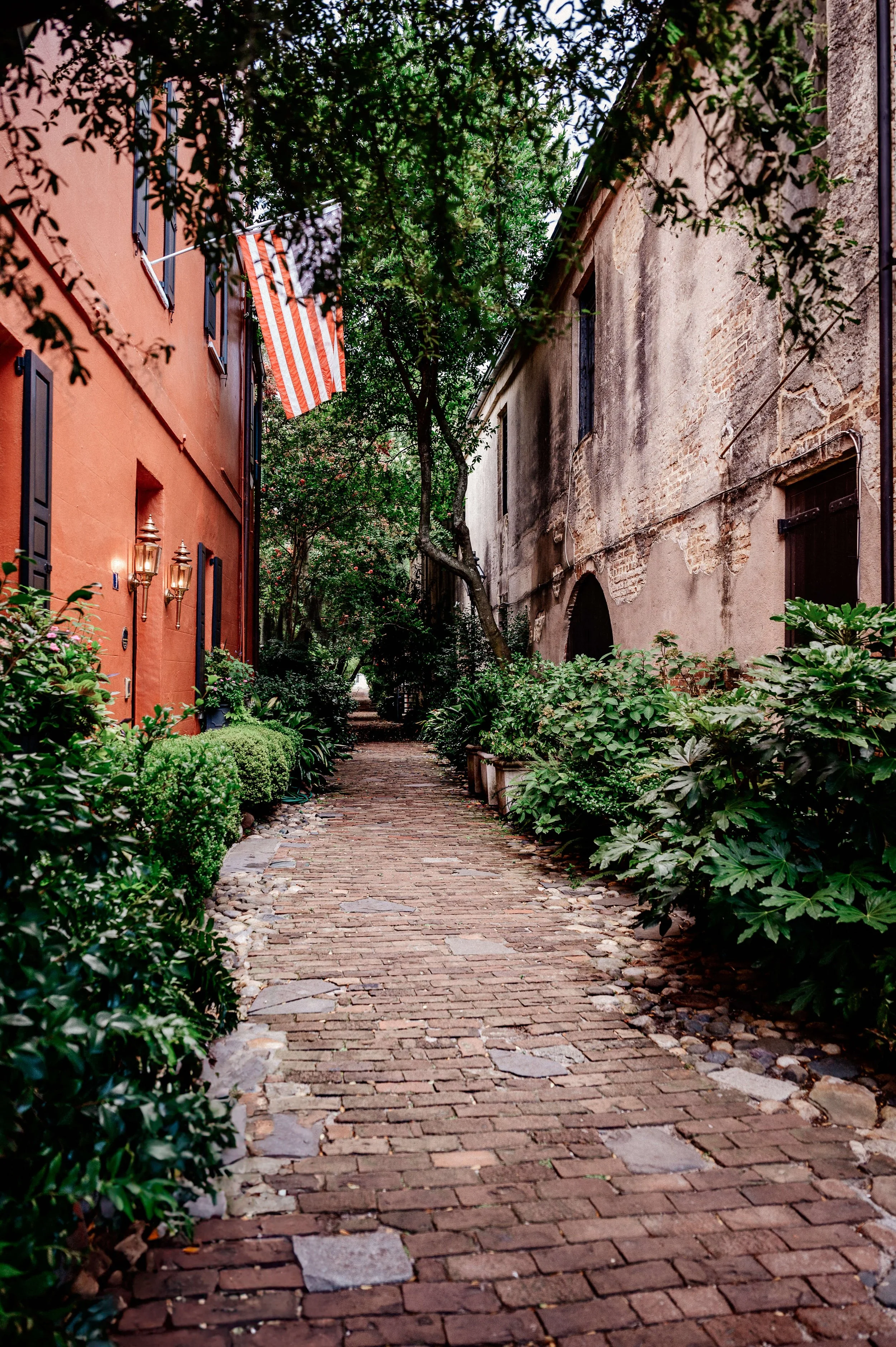 Philadelphia Alley in Charleston with greenery and surrounded by old buildings with weathered brick and stucco walls. A tree with dense foliage extends its branches over the path, and striped fabric is hanging from a building on the left.