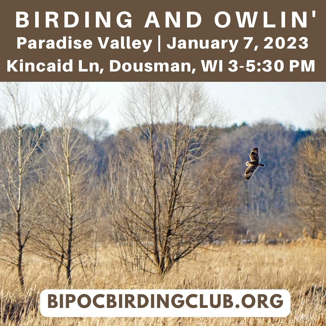 We are excited to host our second joint Madison and Milwaukee Short-eared Owl viewing event on January 7 at Paradise Valley! We will meet at the parking lot located at the west end of Kincaid Ln, Dousman, WI 53118.

For those who joined us last year,