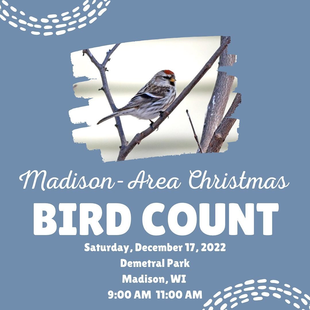 It&rsquo;s Christmas Bird Count season! Join us in Madison or Milwaukee for one of our two events this weekend. 

The Madison-area Christmas Bird Count will occur on December 17 and will be the BIPOC Birding Club event for the month of December. We a