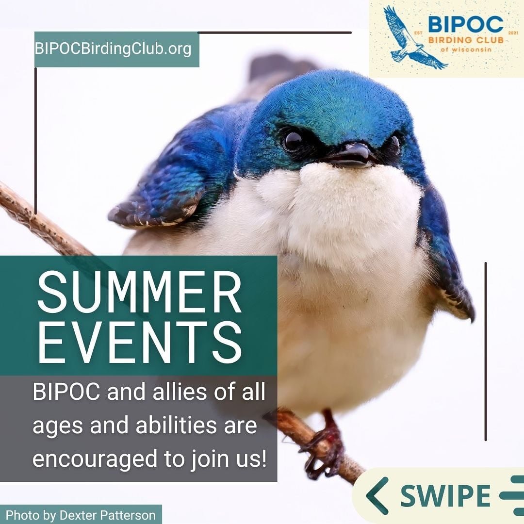 🗓️ Exciting summer birding events ahead! Join us this Saturday at Havenwoods State Forest in Milwaukee for a fun and inclusive birding adventure. Everyone is welcome! Check out our website for more details on all our Madison and Milwaukee area event