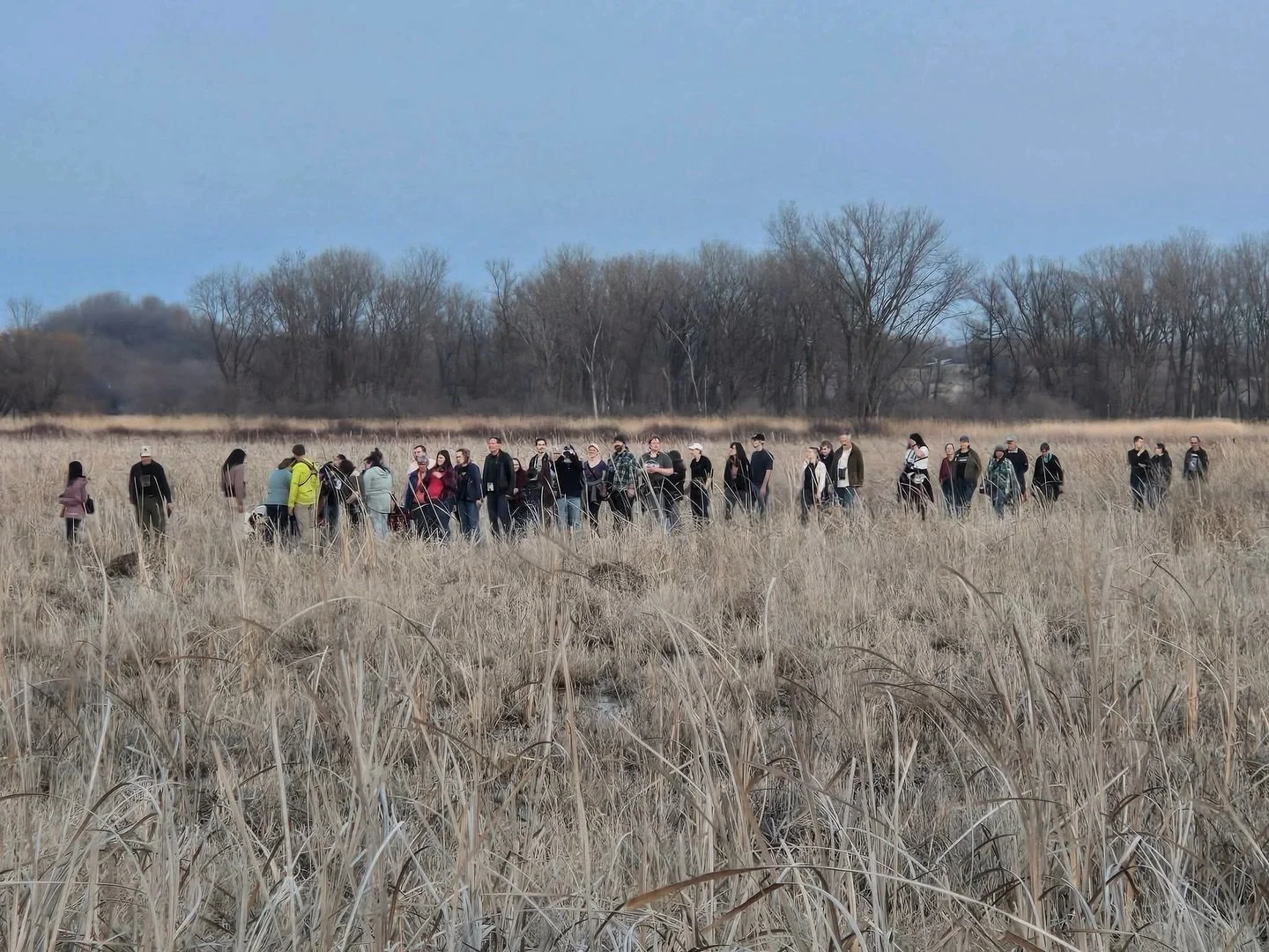 Last night was pure magic. ✨

Unseasonably warm, clear skies, and over 50 birders showed up for our Annual Woodcock Walk. We made our way around the boardwalk, picking up a variety of sparrows, a couple Rusty Blackbirds mixed in with Red-wings and Gr