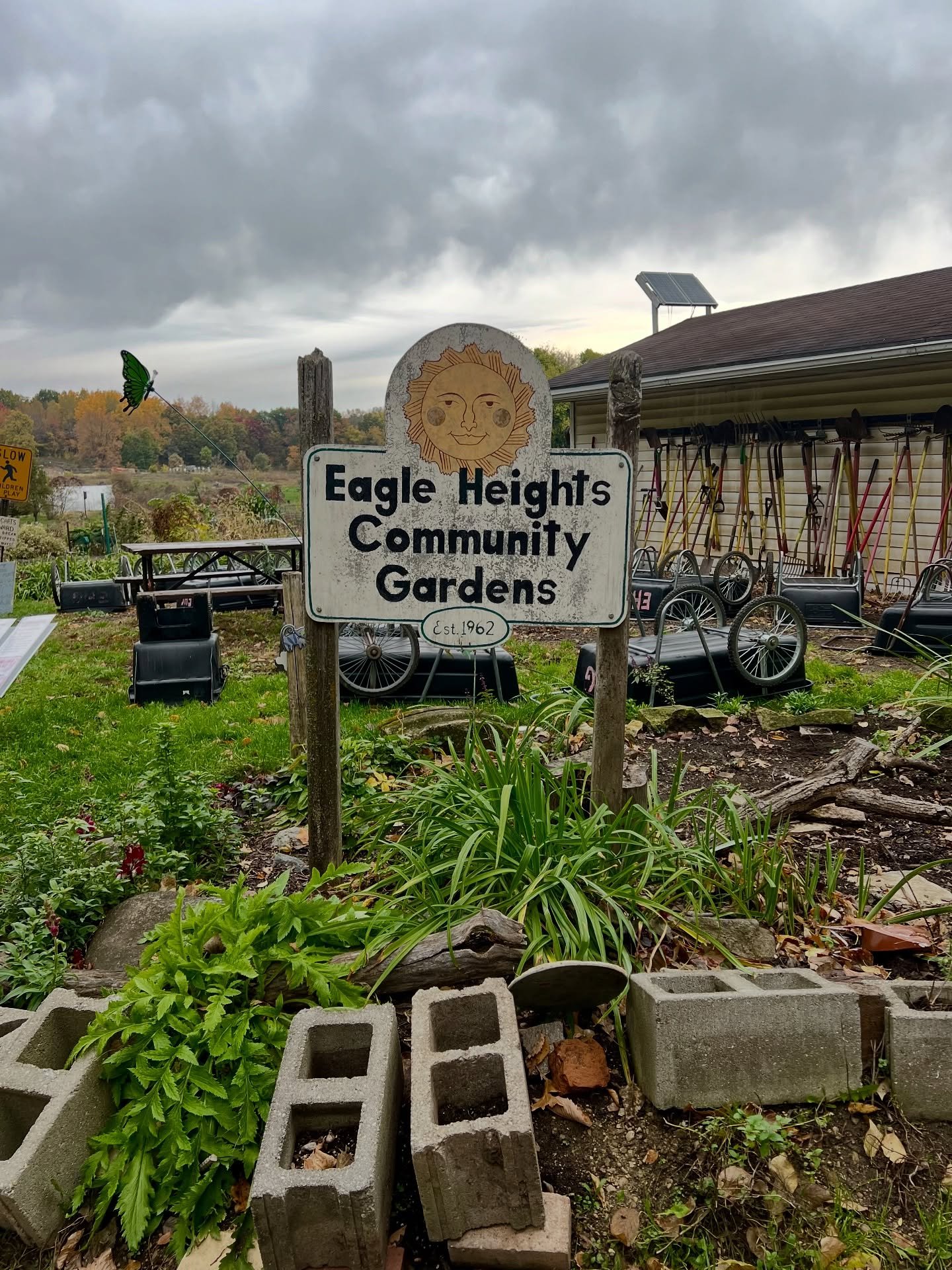 Sparrow Stroll Recap 🐦🍂
A few drizzles didn&rsquo;t stop us from having an awesome morning of fall birding at Eagle Heights Community Gardens! We spotted 24 species, including White-throated, White-crowned, and Lincoln&rsquo;s Sparrows &mdash; plus