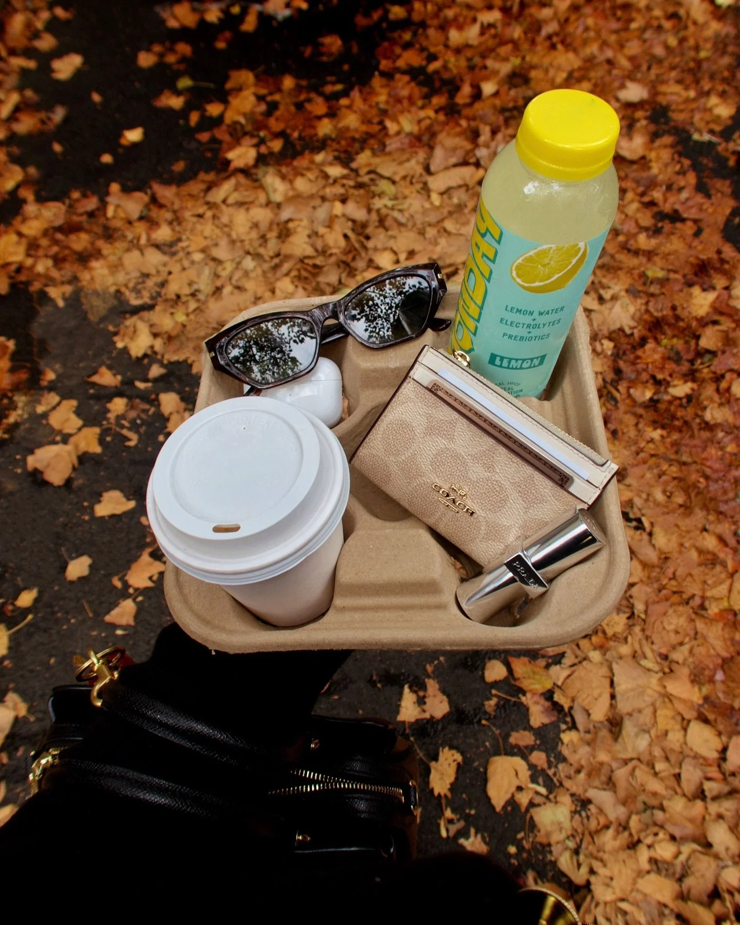 balancing my love of cozy coffee runs with clean hydration because balance is key this fall 🍂🔐✨

#lemonday&nbsp;#drinklemonday #lemonwater&nbsp;#prebiotics&nbsp;#electrolytes #cleanhydration