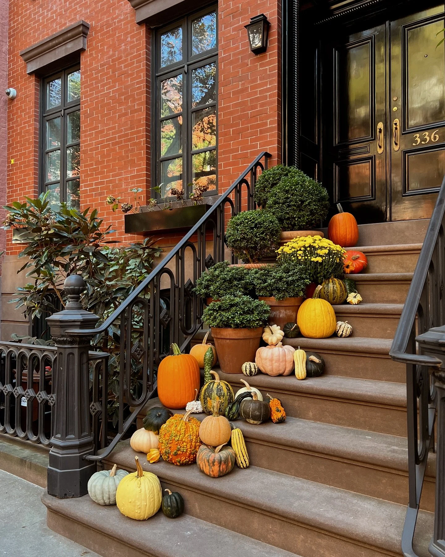 some favorites from the spooky szn files 👻📂🍸🫧