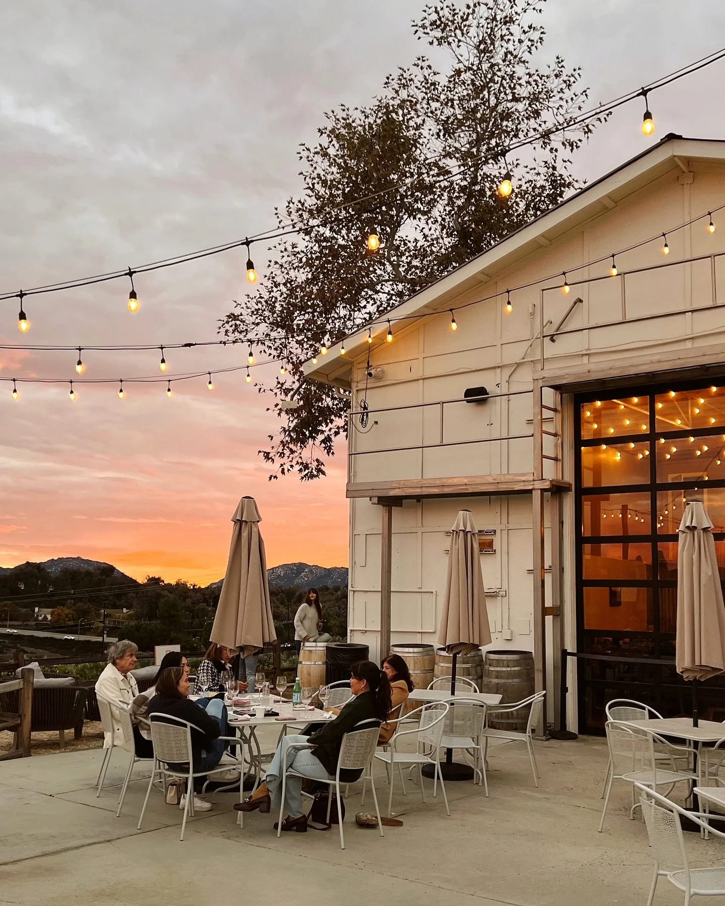 first order of business now that I&rsquo;m back in SoCal: wine tasting day trip 🍇🍷💃🏻