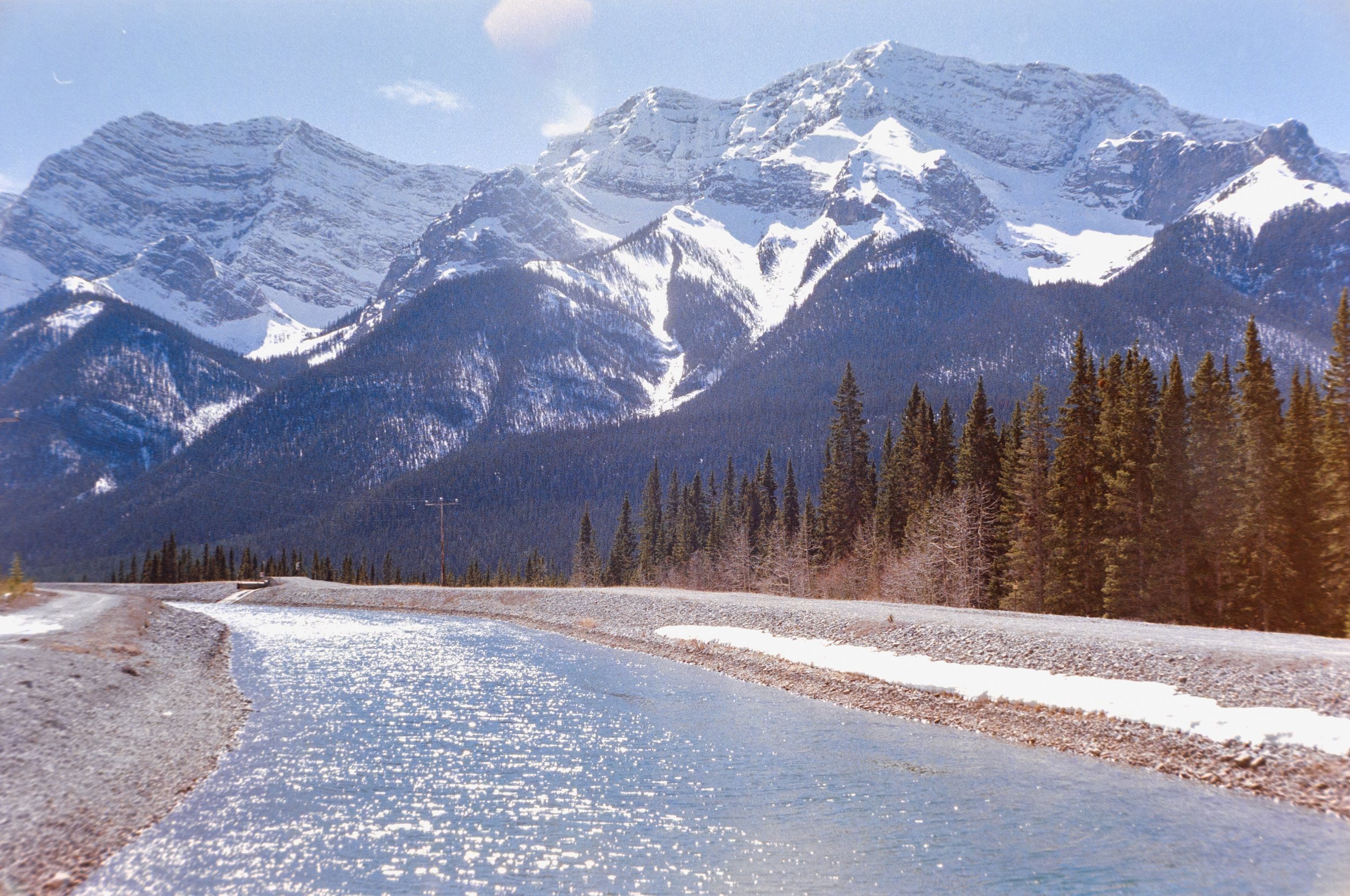 Snow-capped mountains with a forest of pine trees at the base and a winding road or river in the foreground.