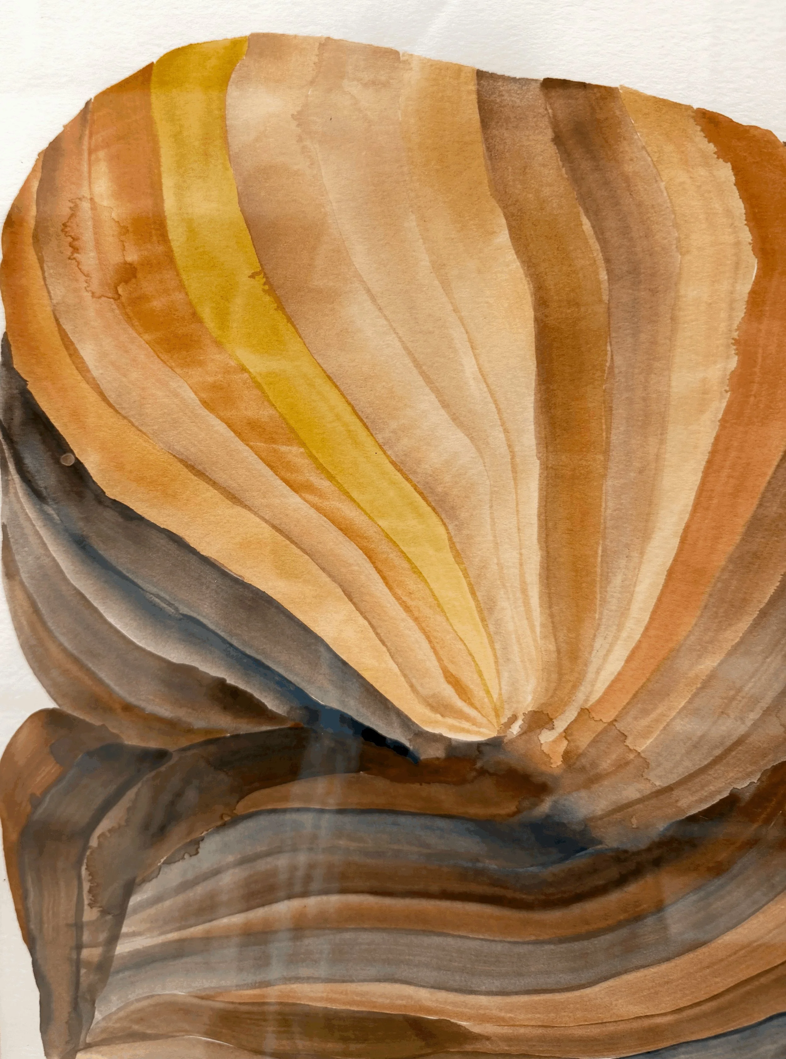 amber-fold-1-balanced.jpg