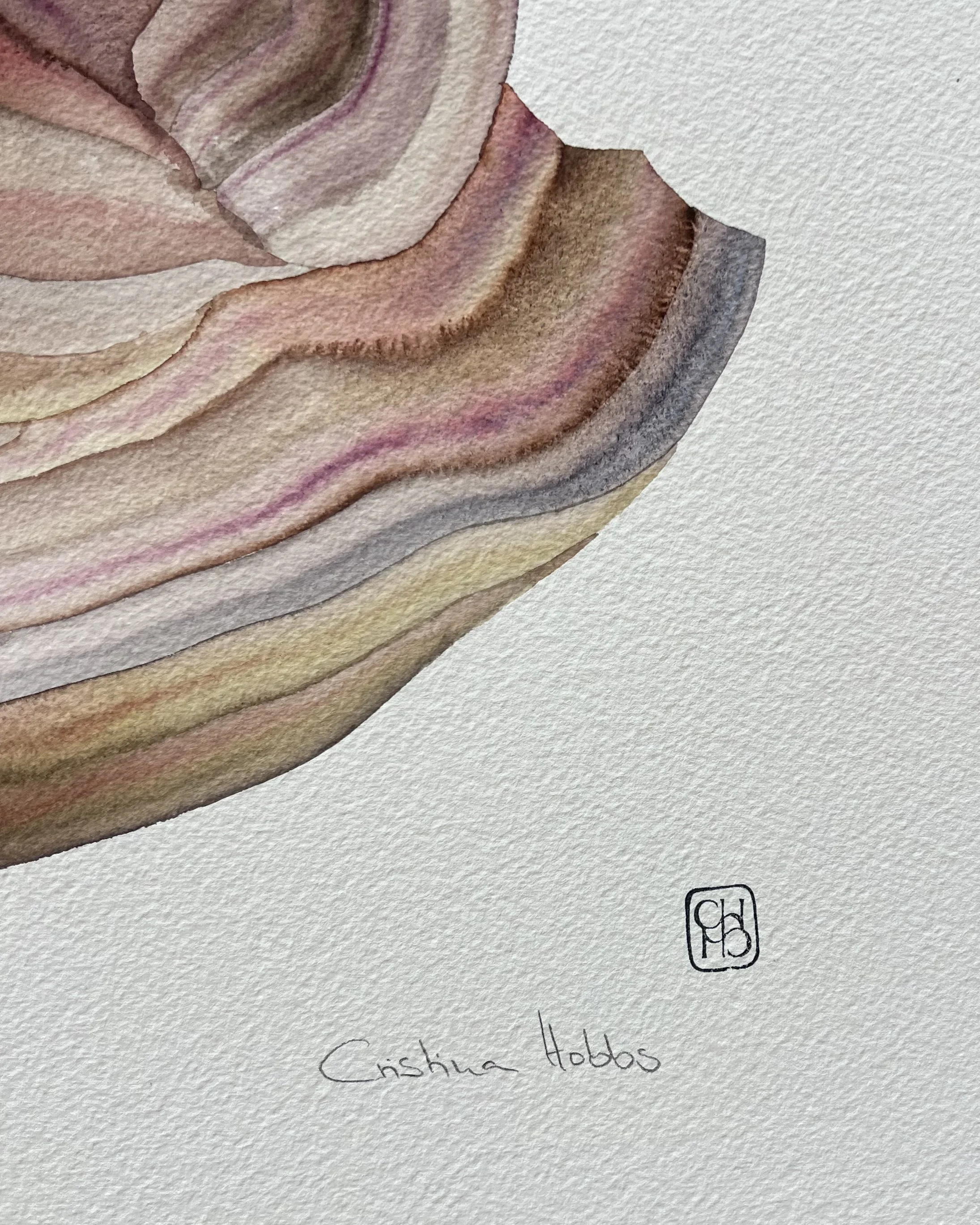 abstract-watercolor-by-artist-cristina-hobbs-organic-close-up.jpeg