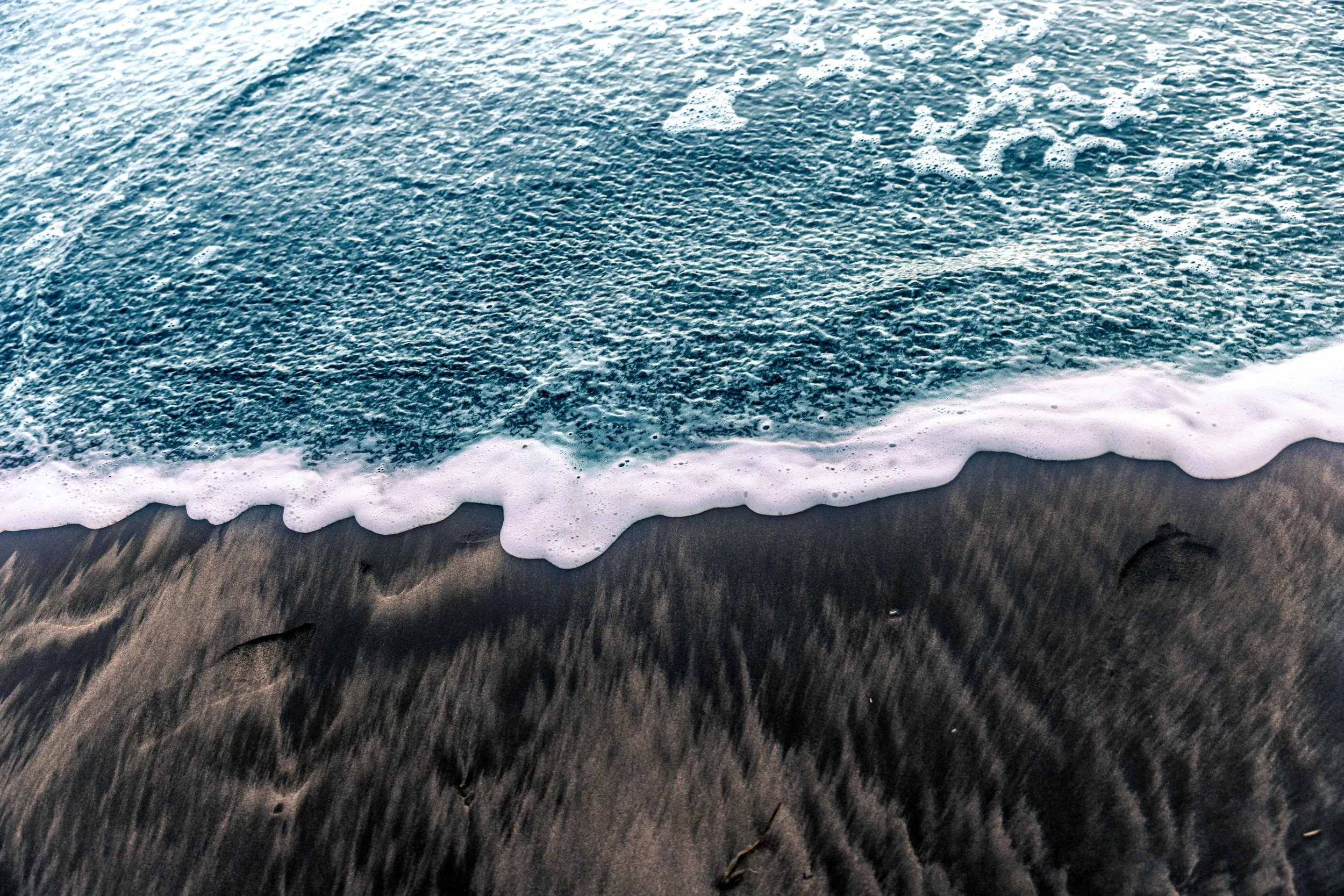 Oregon Coast 2021-4777.jpg