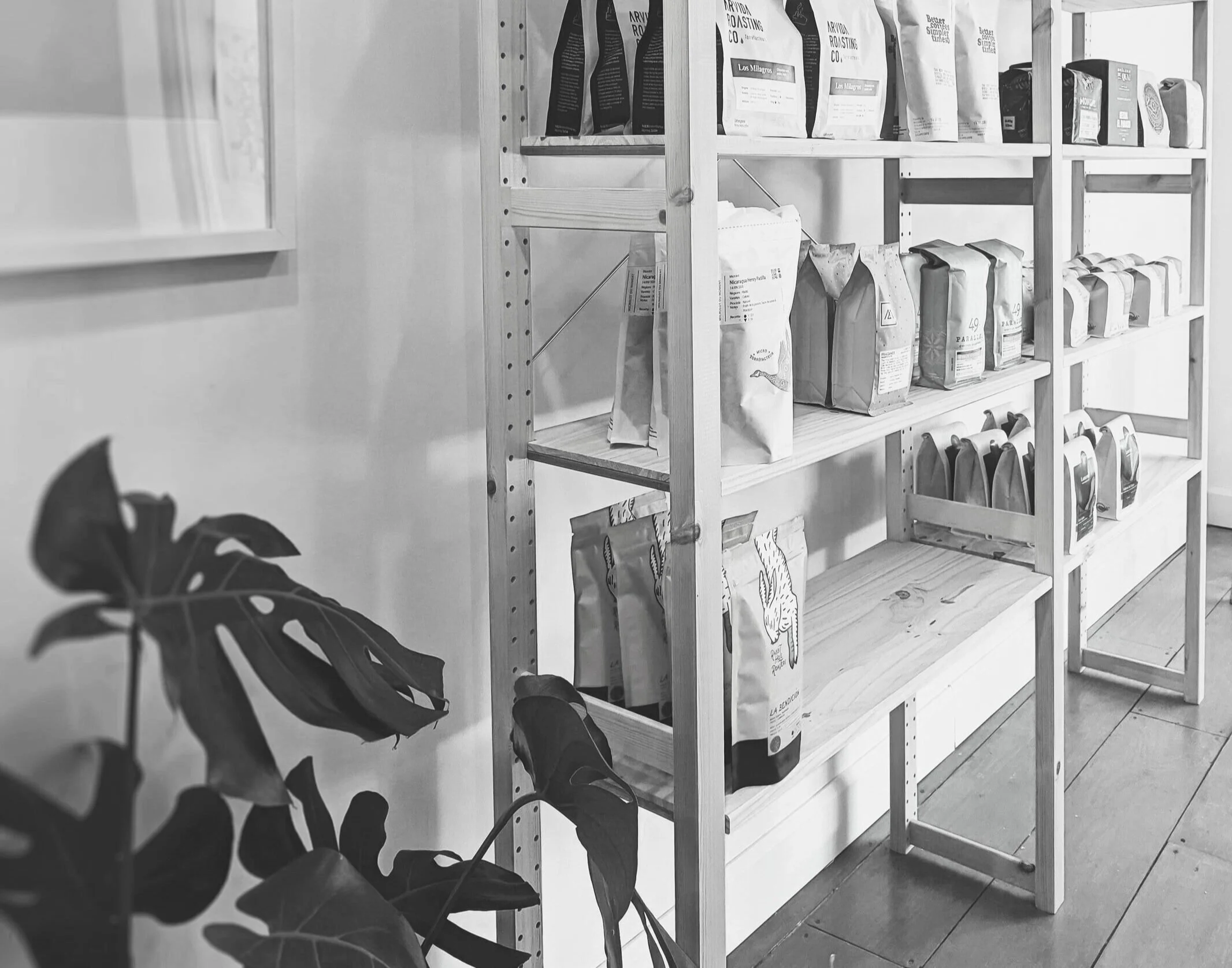 Shop — Winfield Veterinary Hospital