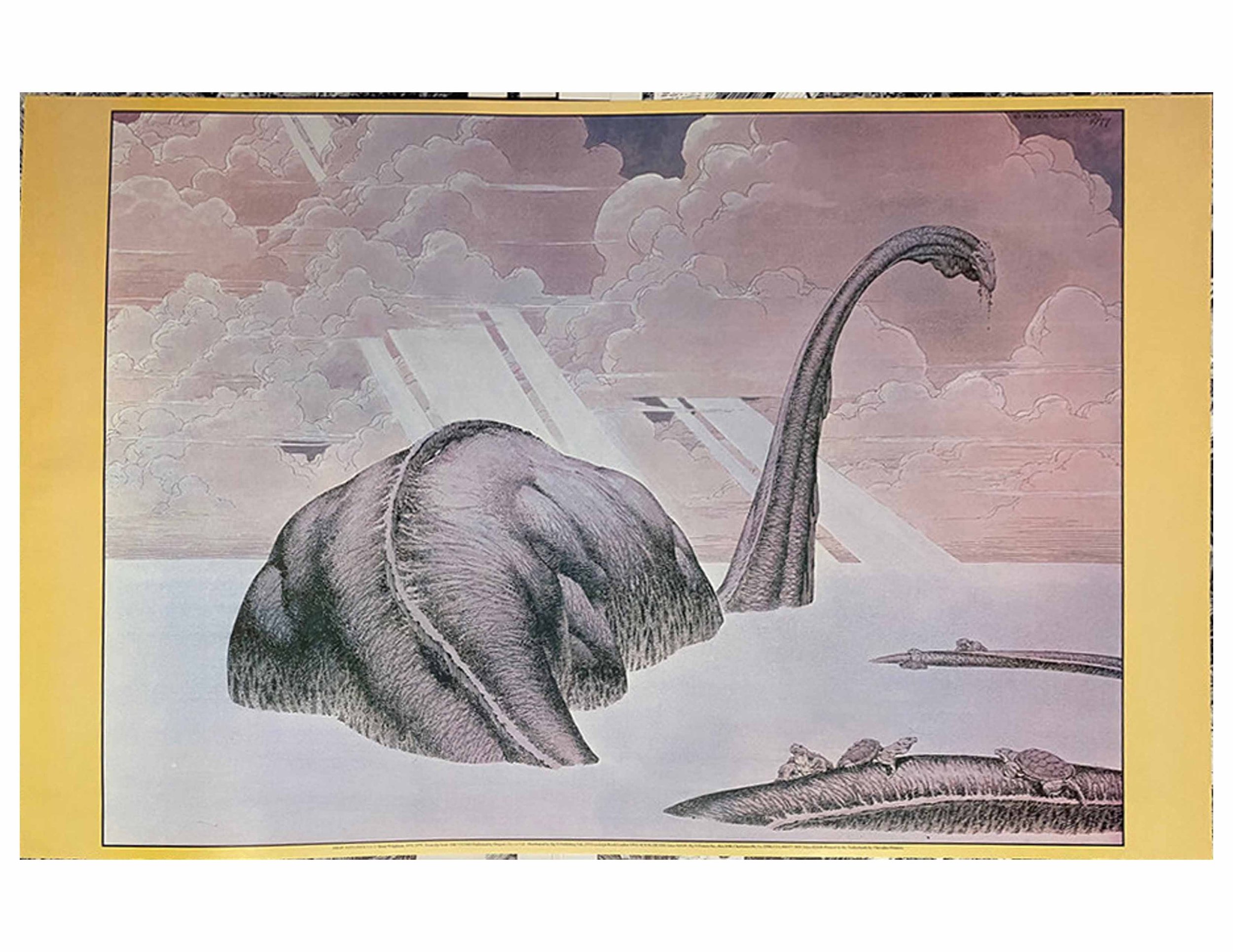 Diplodicus.jpg