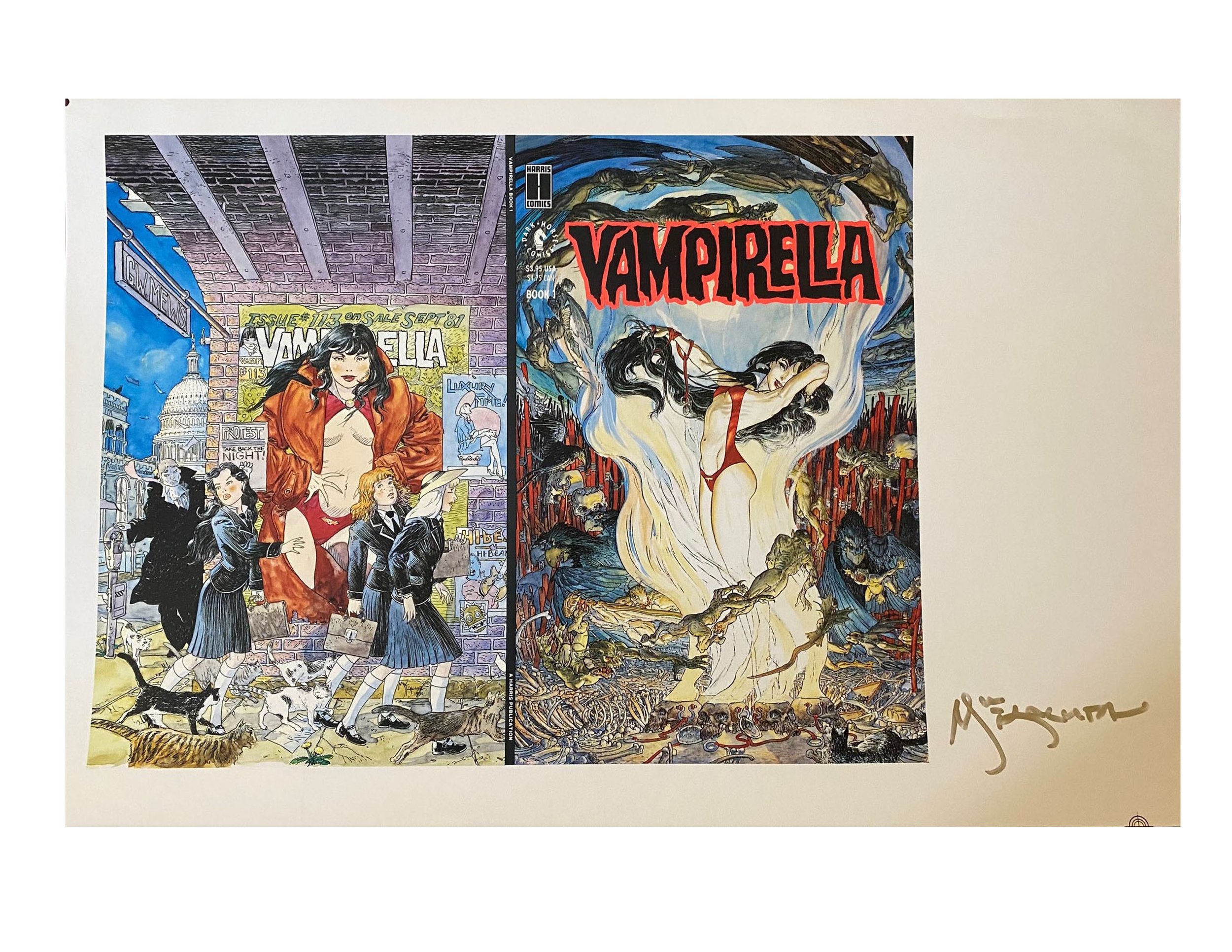 Vampirella Uncut Cover Sheet