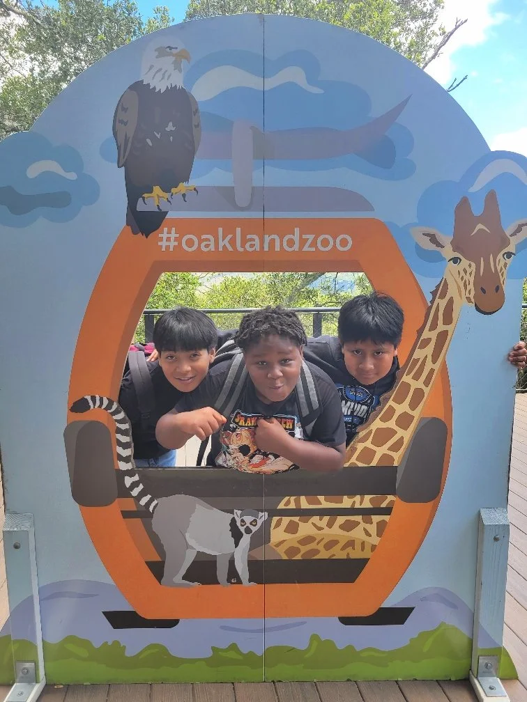 SummerBridge_zoo.JPEG