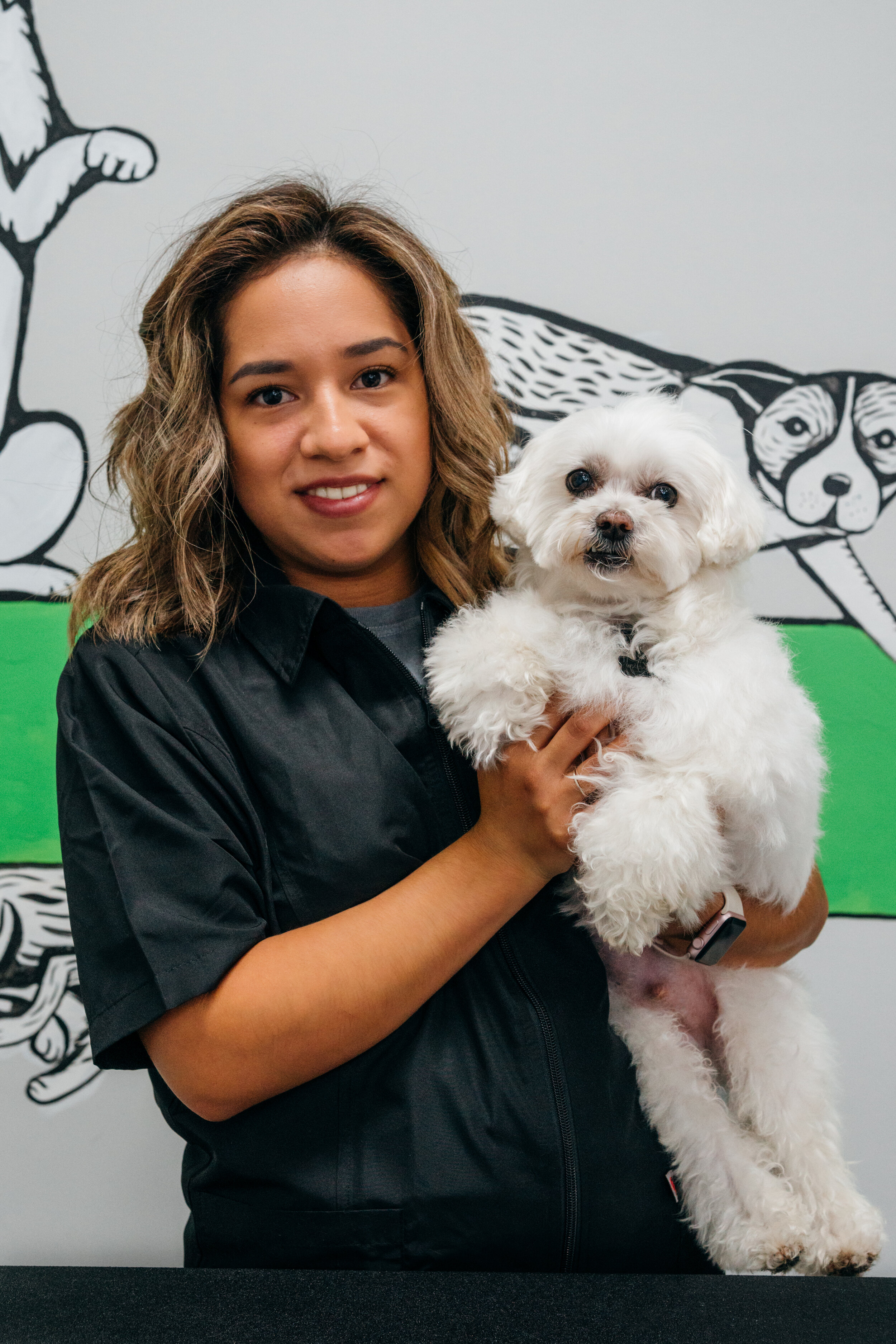 Oh My Dog! Foster City Pet Grooming