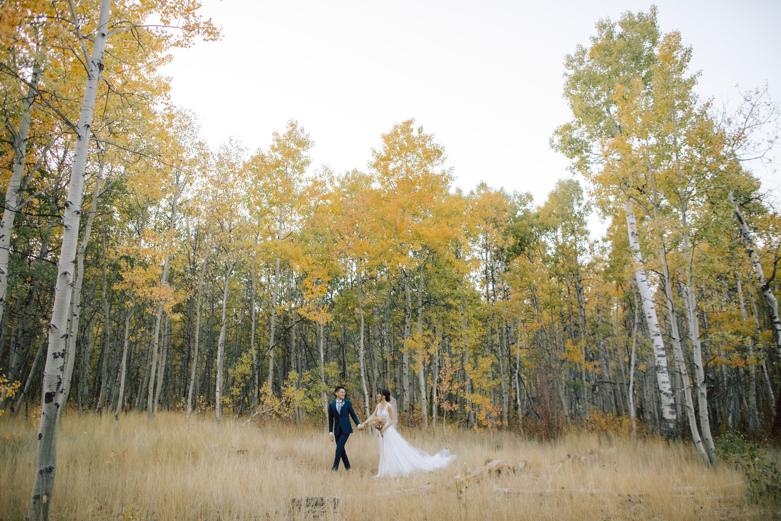 Tahoe Wedding Photography