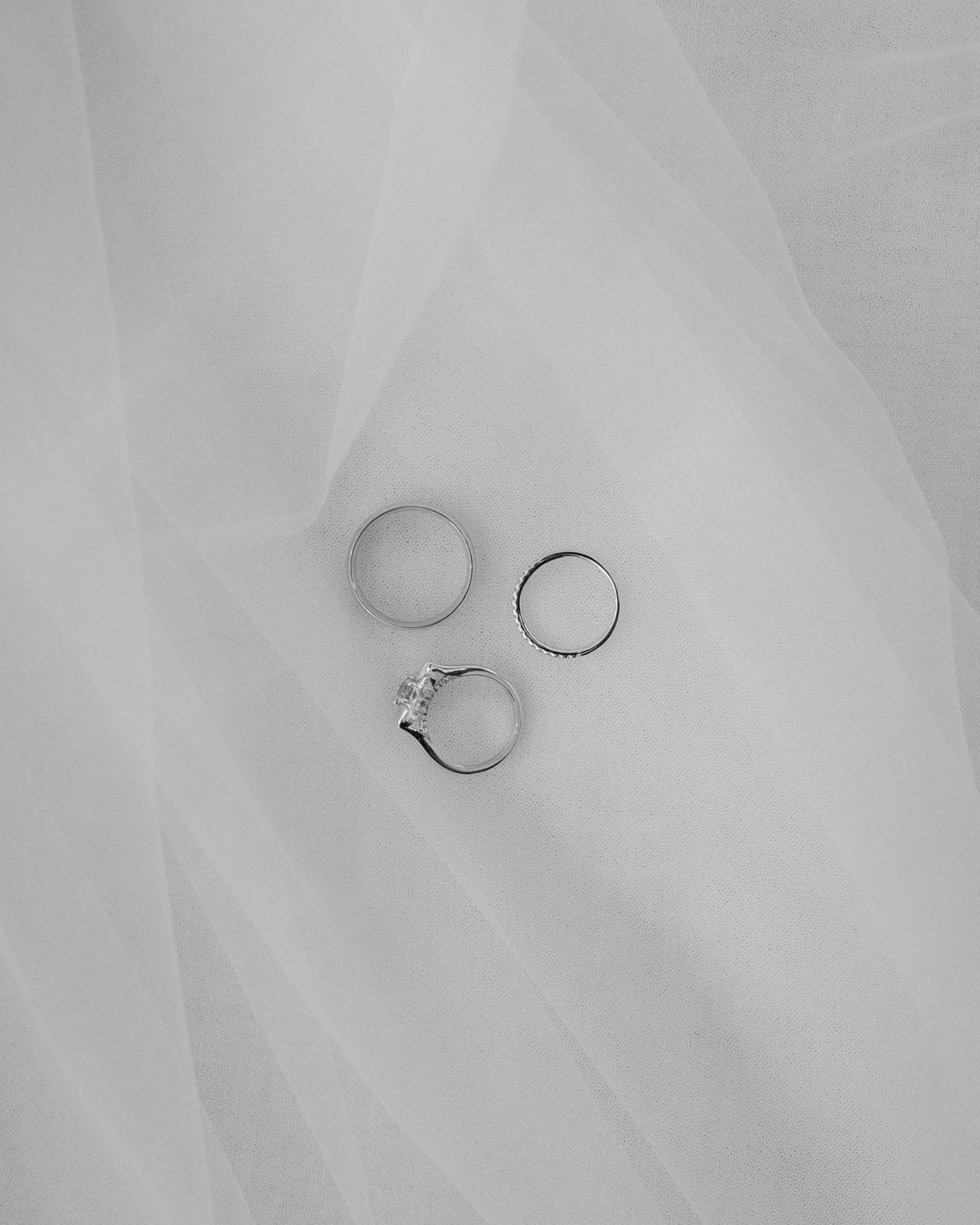 A moment for the veil 🕊️

Desperately needed to share more from this wedding because I&rsquo;m a SUCKER for a long veil 🤌🏻🤌🏻

#dcweddings #virginiaweddings #rvaweddingphotographer #virginiaweddingphotographer
#vacouplesphotographer 
#roanokewedd