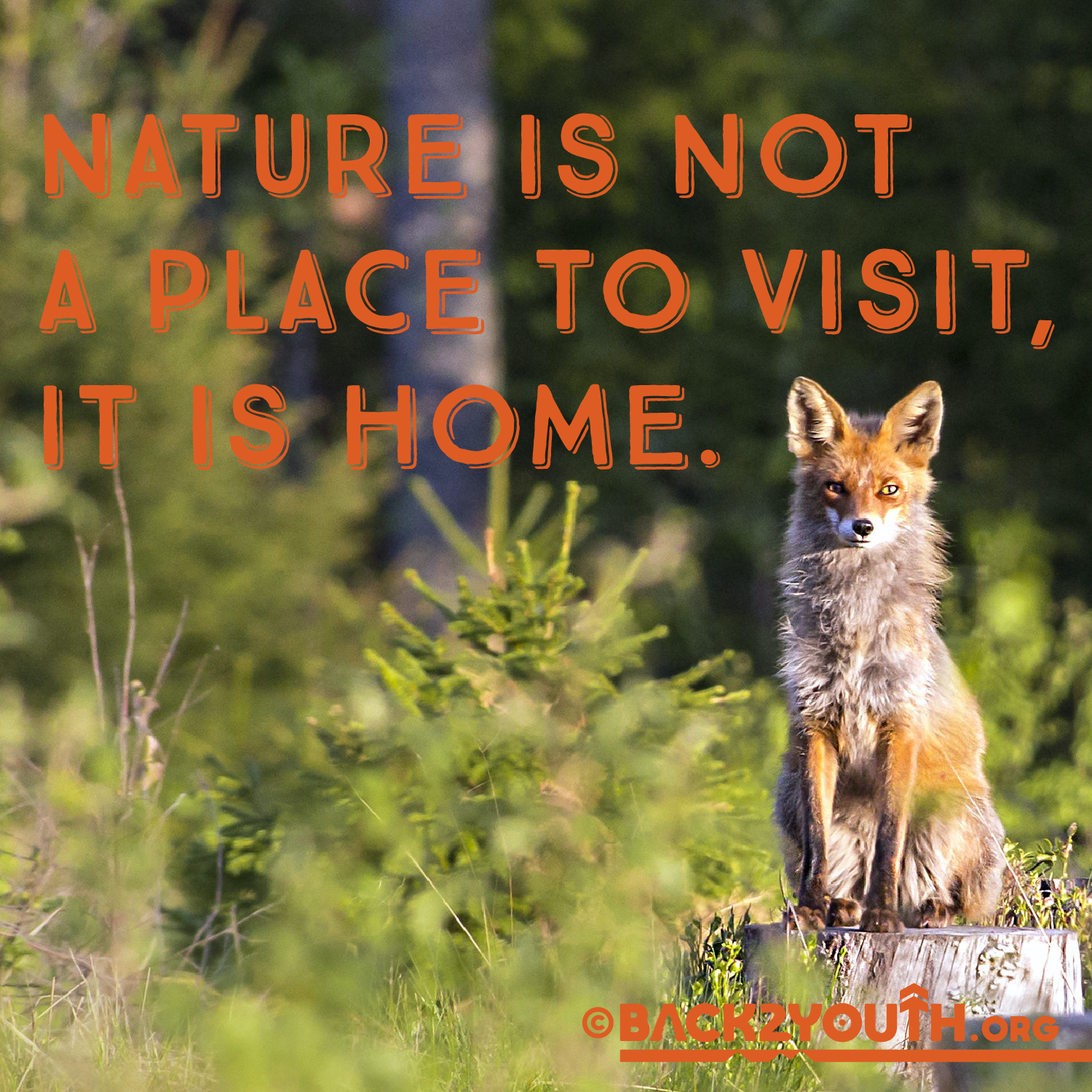 Nature is Home