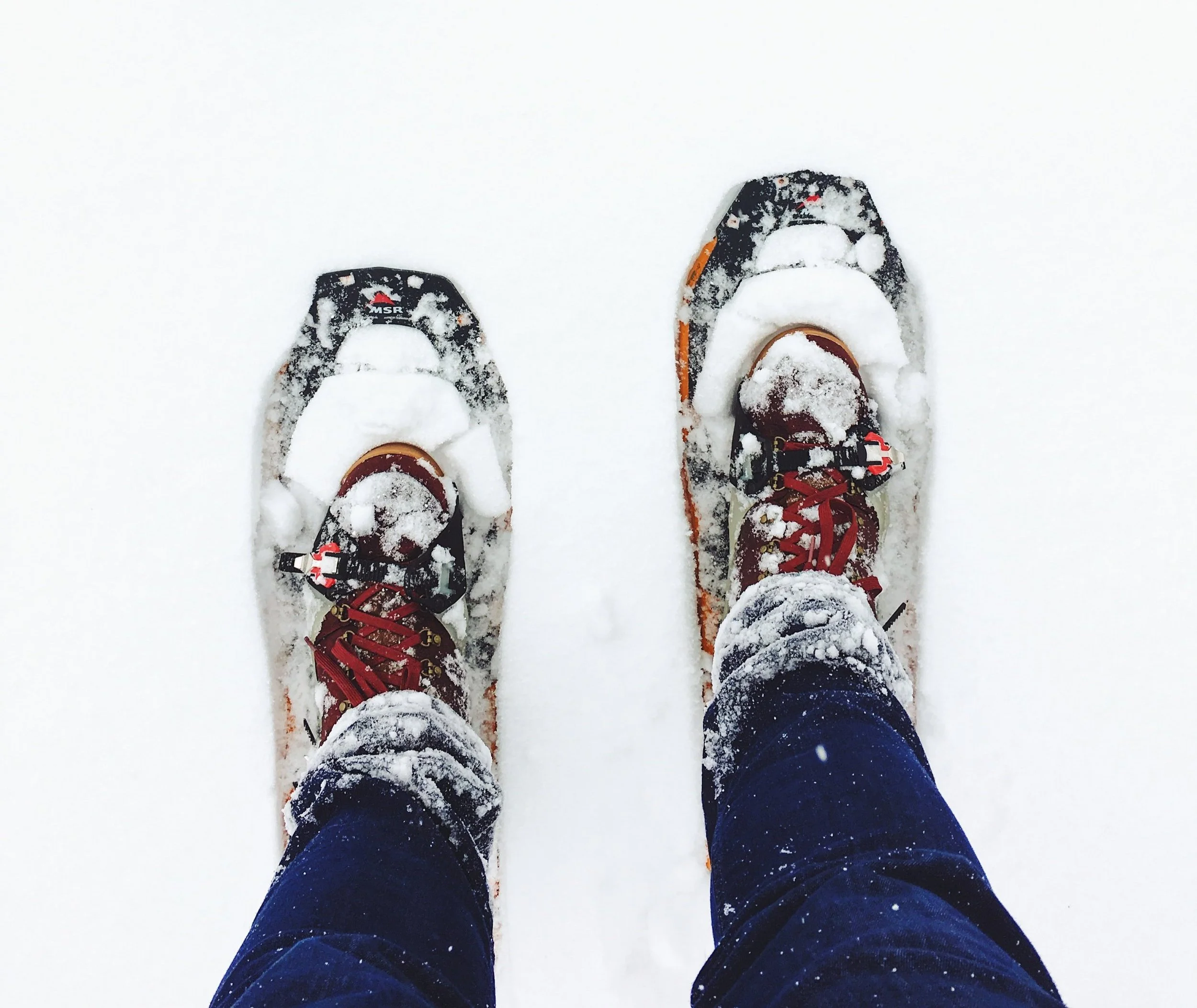 Day Camp Winter 2022 