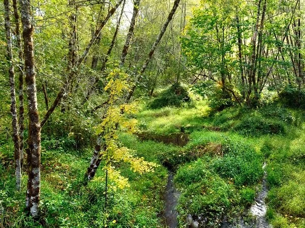 Summer Day Camp 2023