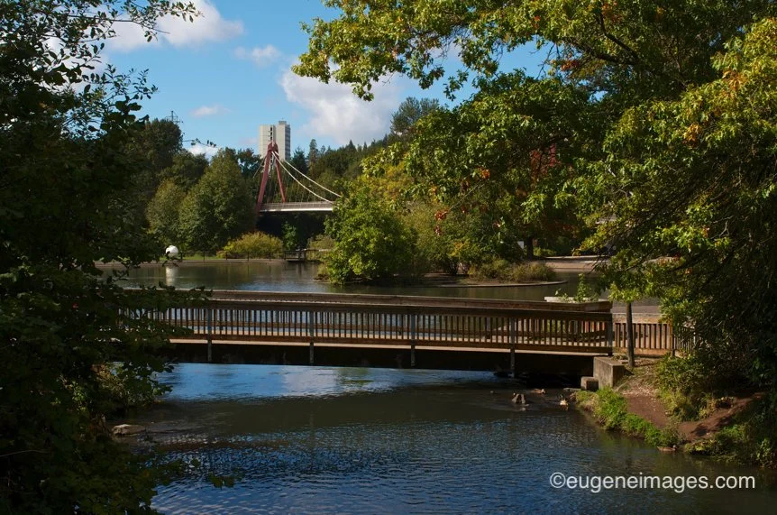 Lane AABSS &amp; B2Y Summer Day Camp 2023