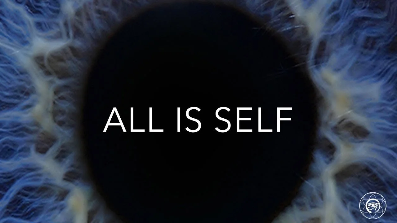 Close-up of a human eye with the iris and pupil visible, and the words 'ALL IS SELF' overlayed.
