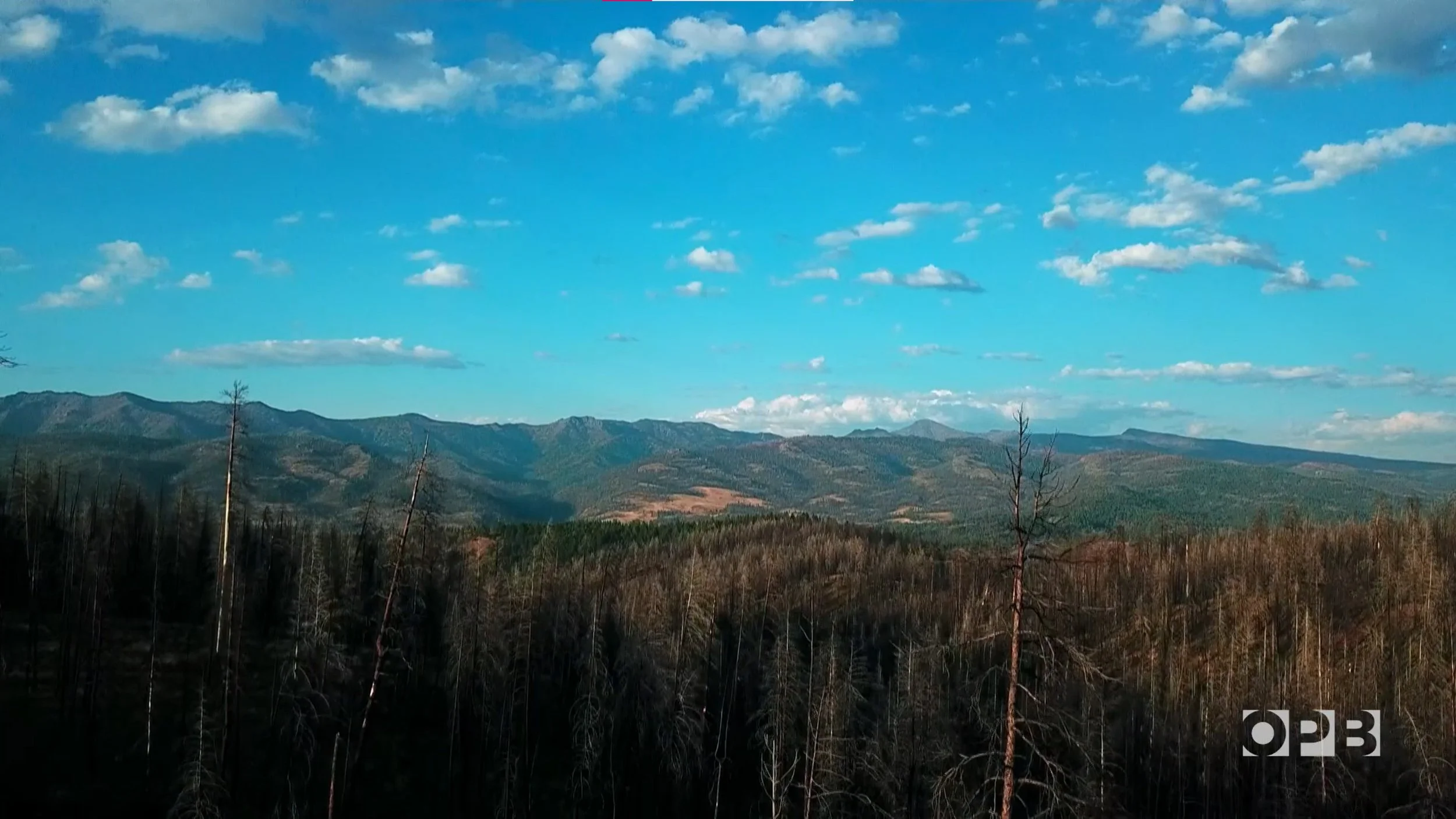 Photo of a mountain landscape with a bright blue sky, scattered white clouds, a distant mountain range, and a foreground of tall, dark trees.
