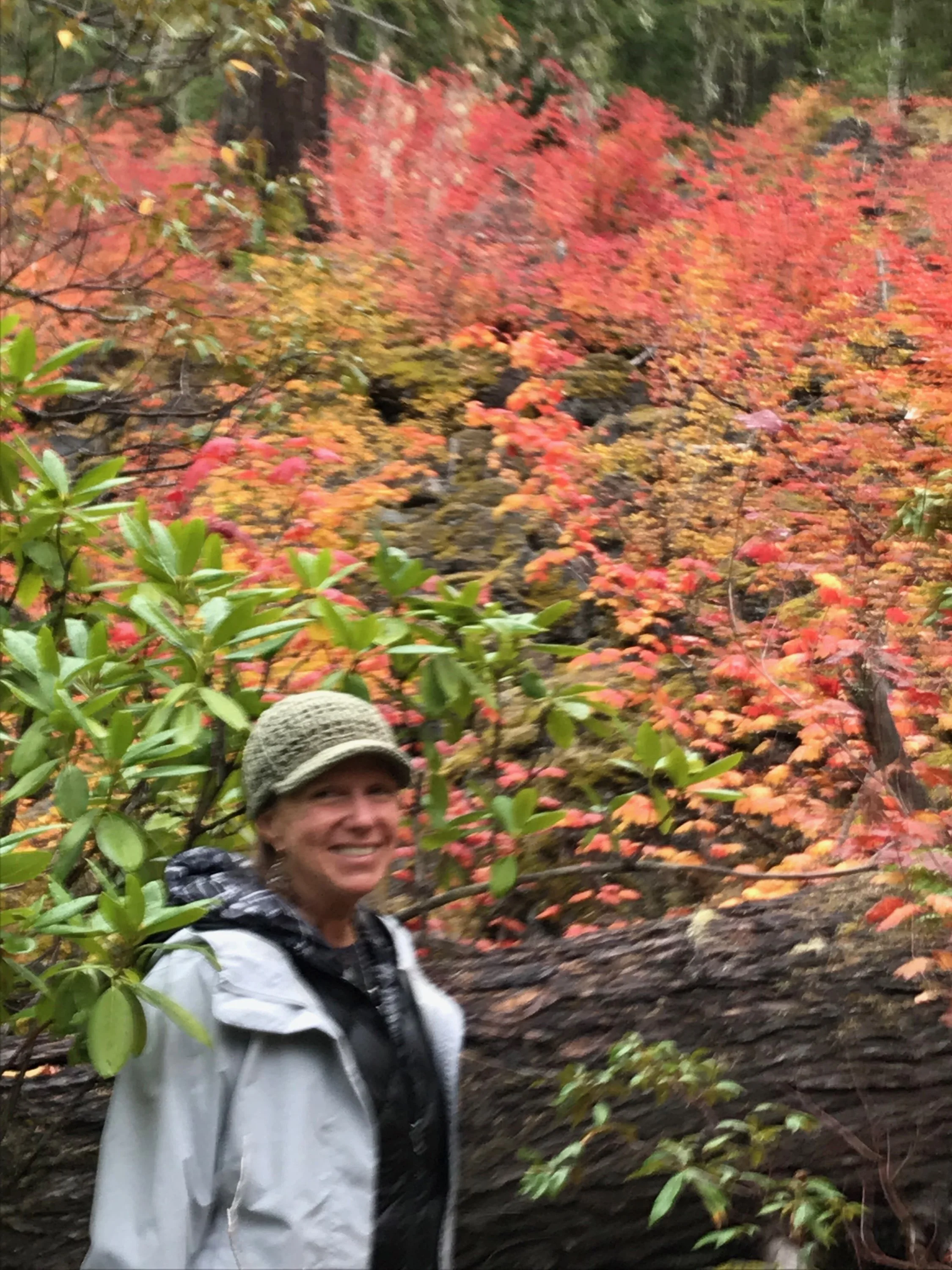 Dona Mittasch, Back2Youth's Board Secretary, smiling in a forest with fall foliage, wearing a gray hat and a light gray jacket.