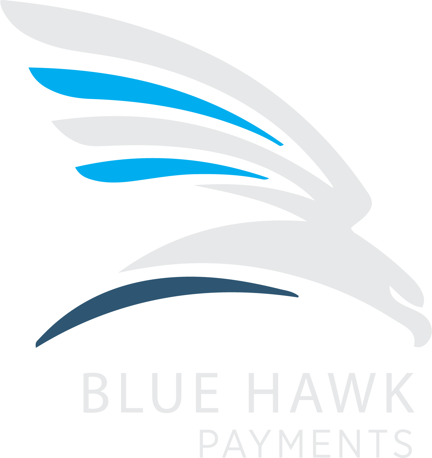Blue Hawk Payments