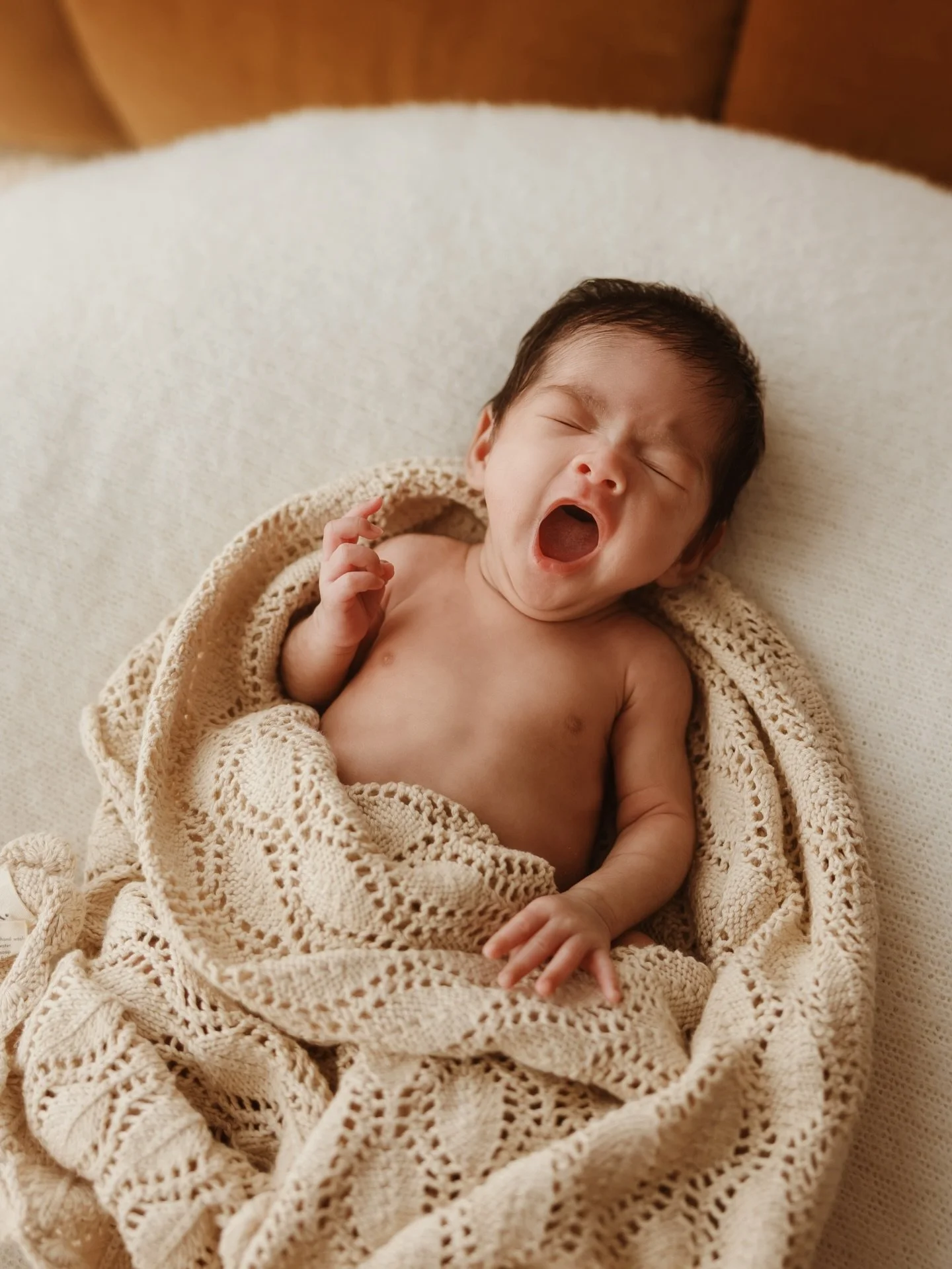 Coming into those long weekend feels 😴 

#Sydneynewbornphotographer
#Sydnfeymaternityphotographer
#Sydneyfamilyphotographer