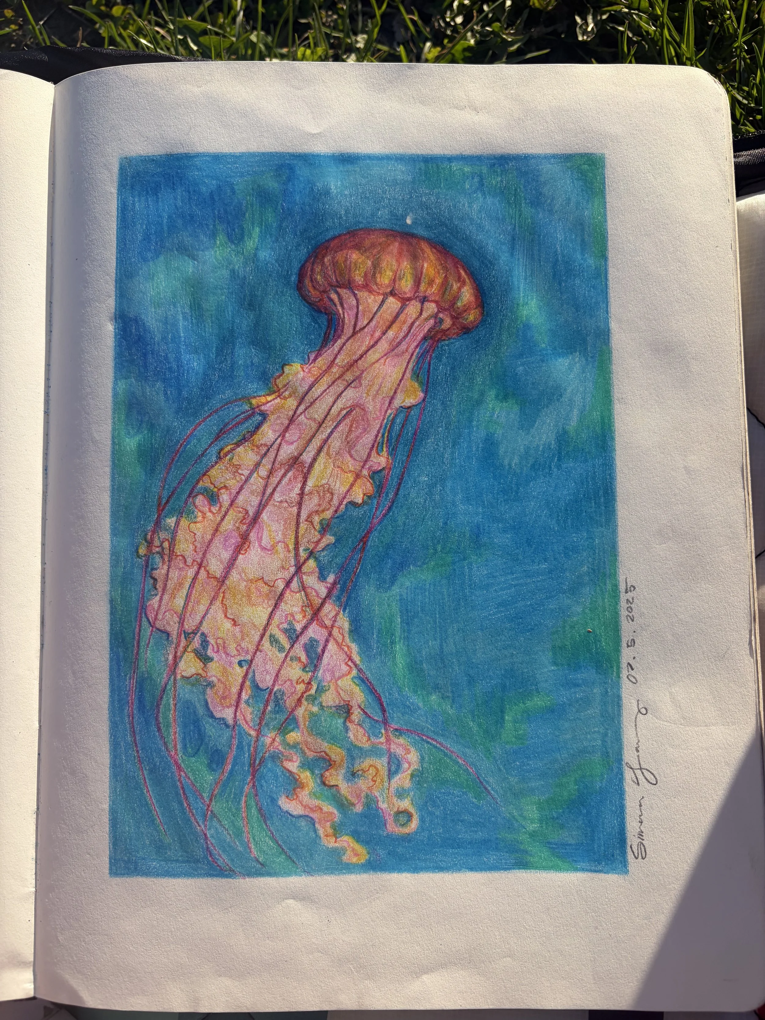 jelly2.jpeg
