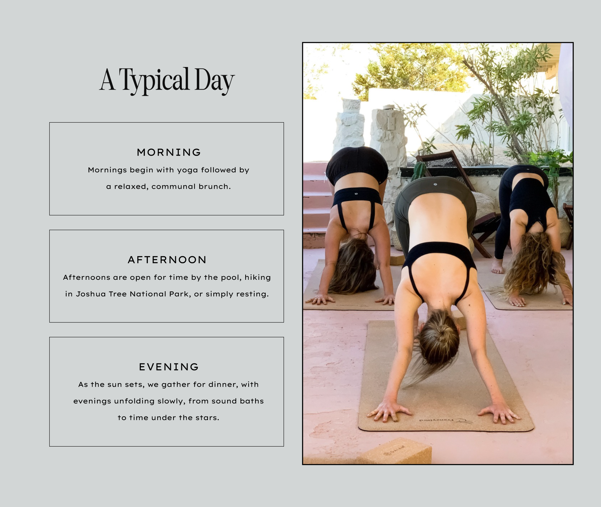 Dose_Website_Joshua-Tree-Retreat_6-26_04.png