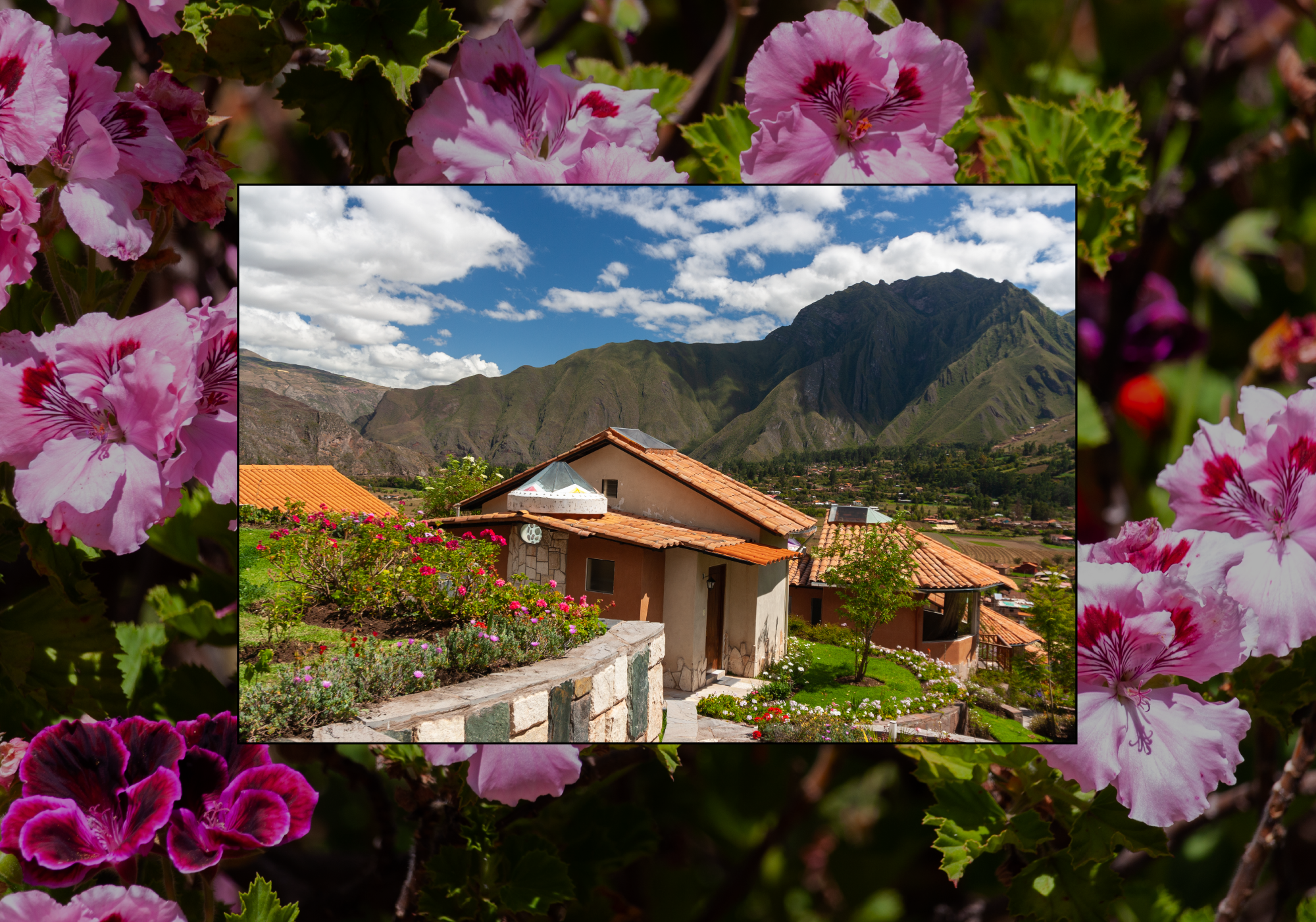 Dose_Website_Peru-6-26_06.png
