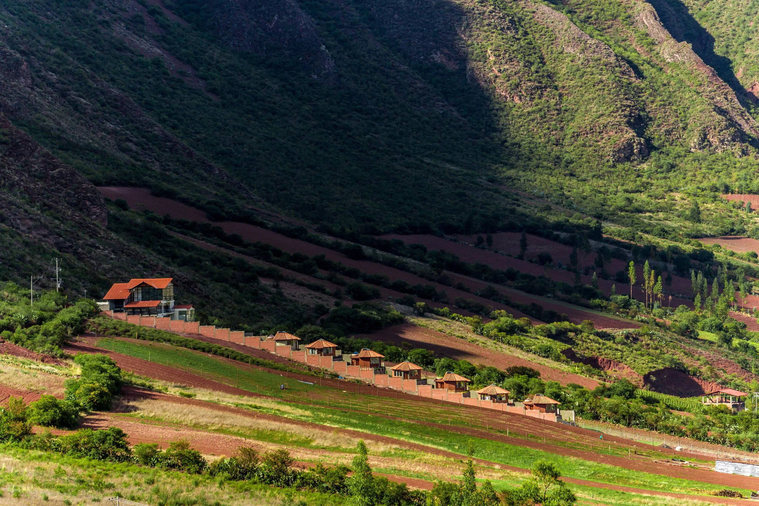 Samadhi-15.jpg