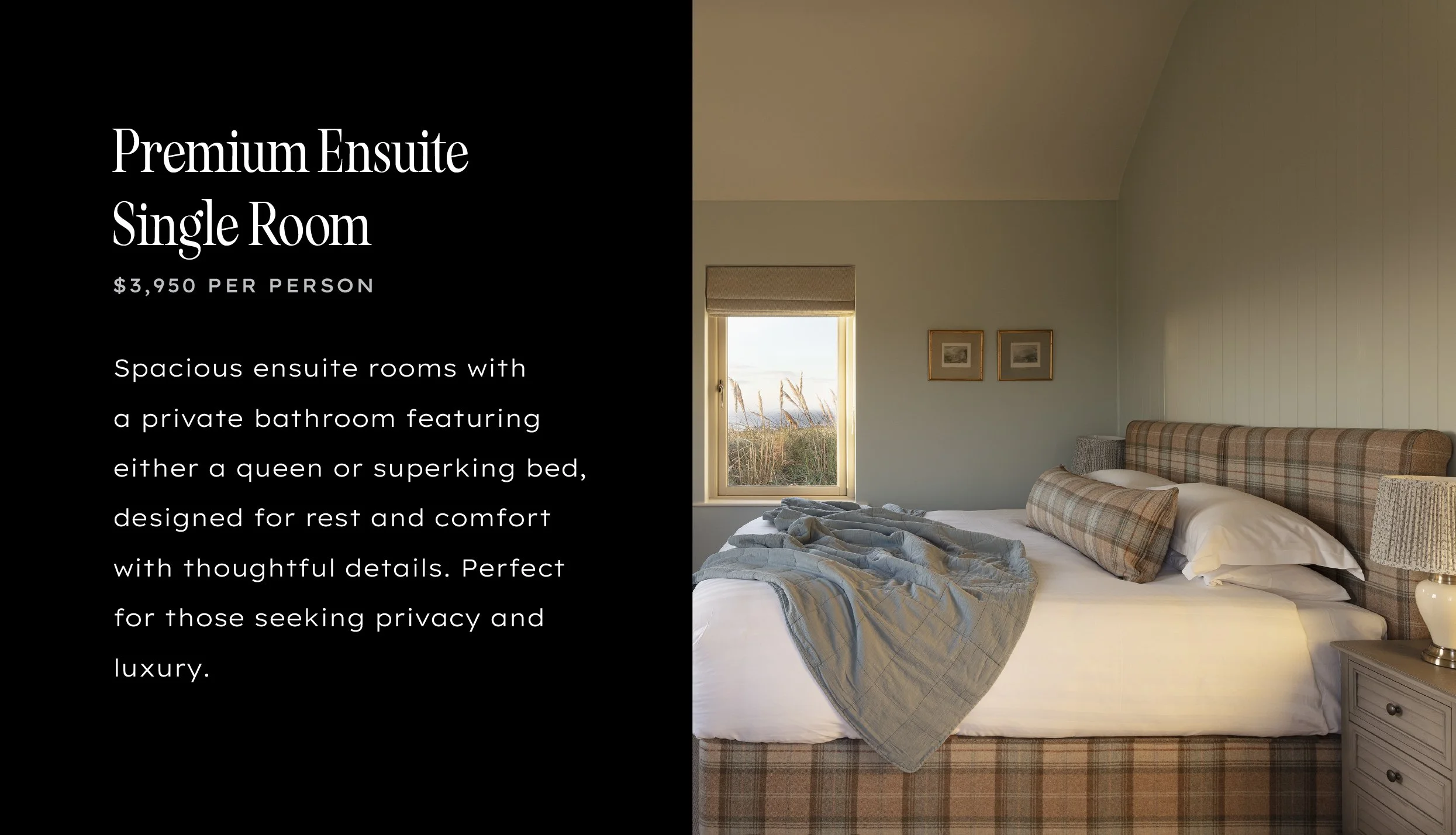 Dose_Website_Ireland2027-04.jpg
