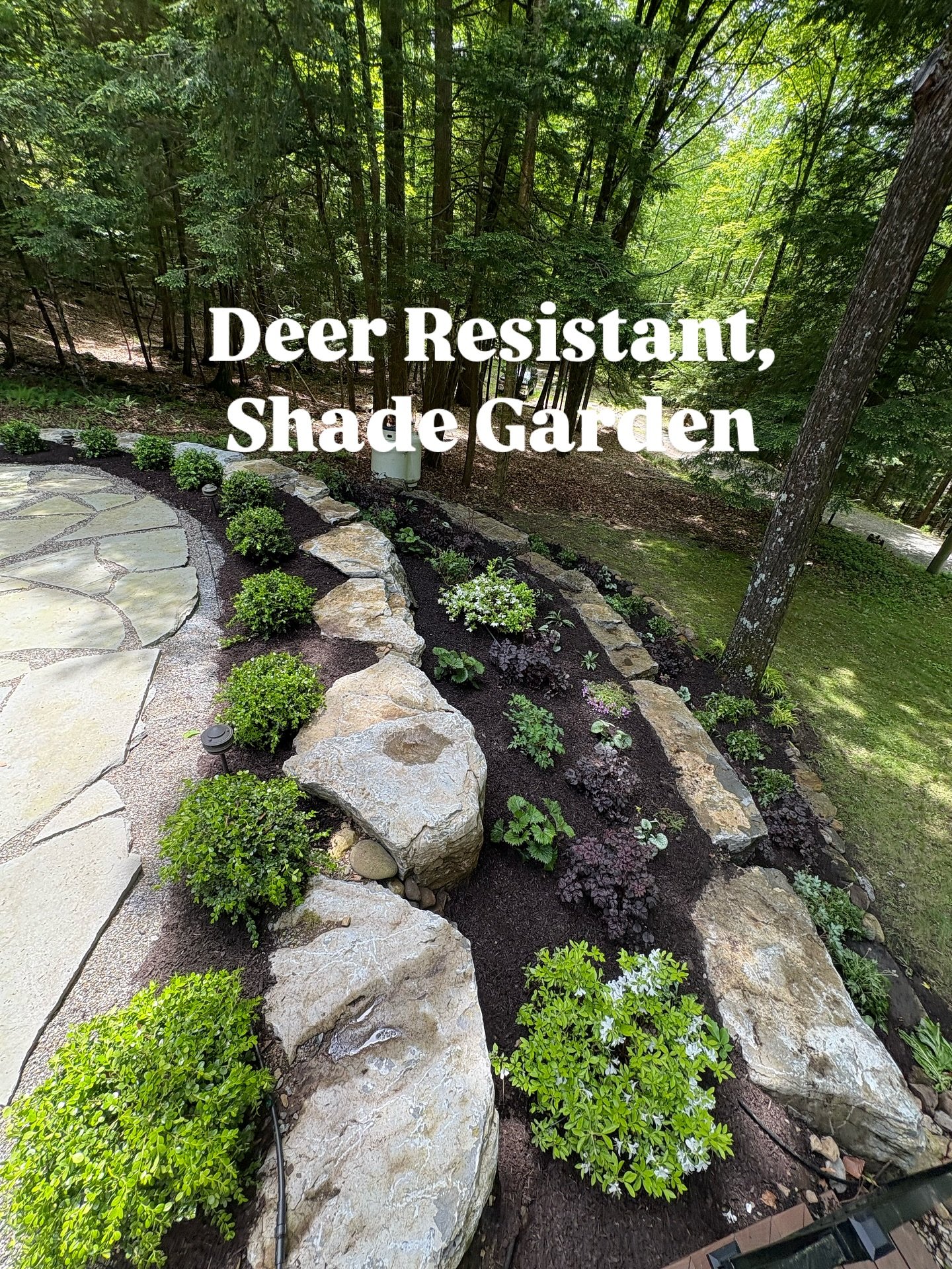 The big guns were called in for this garden after the previous landscaping company had put in a garden that was absolutely demolished by deer, and lacked the proper lighting to support the plants that still stood (But we do love that patio they put i