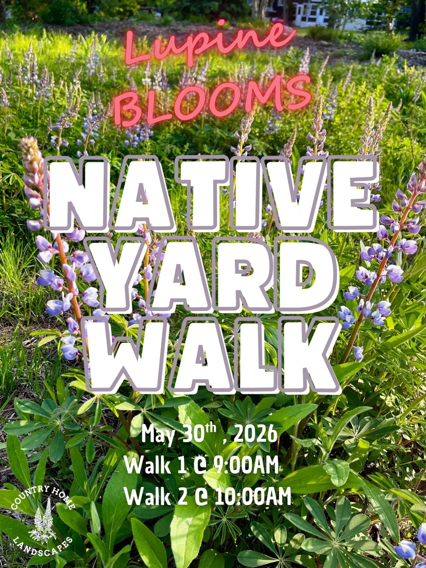 Mark your calendars! Join us for a Bloom Walk through our absolute favorite home, where our native Lupine flowers will be showing off 💐 

Not only will you see incredible flowers, you will get a feel for what it&rsquo;s like to live like a local and
