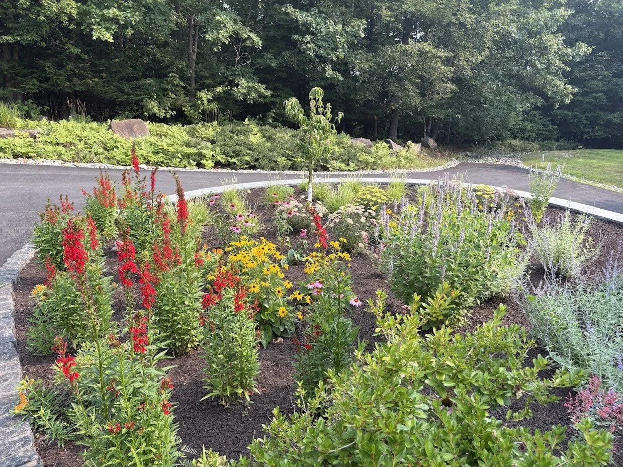Native Garden Upstate New York