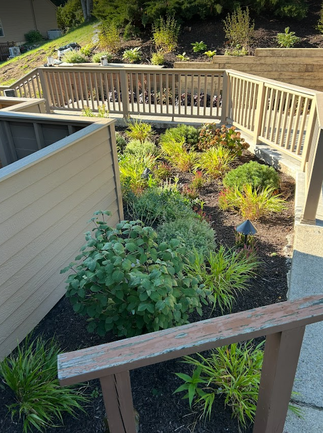 Screenshot 2026-02-06 1.28.35 PM.png