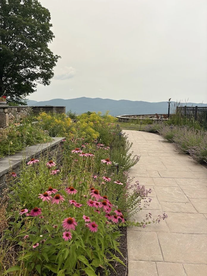 Lake George NY Native Garden