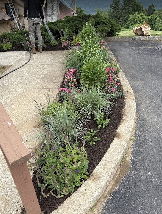 Screenshot 2026-02-06 1.18.08 PM.png