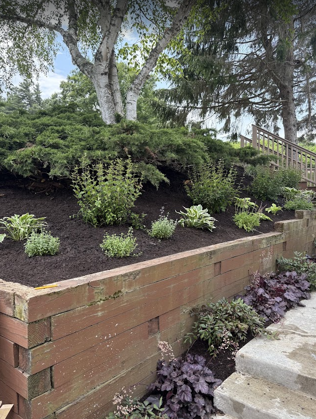 Screenshot 2026-02-06 1.20.25 PM.png