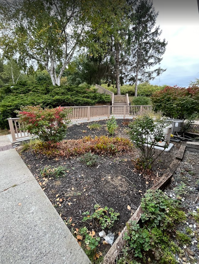 Screenshot 2026-02-06 1.19.30 PM.png