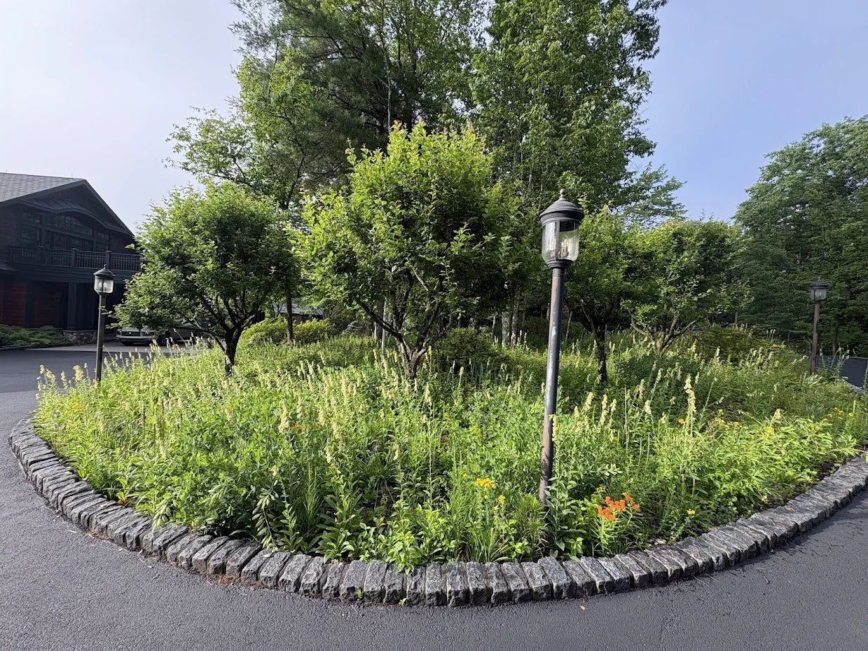 New York Ecological Gardening