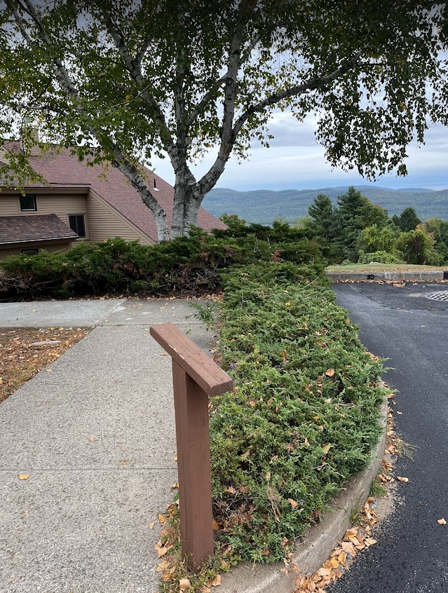 Screenshot 2026-02-06 1.19.39 PM.png