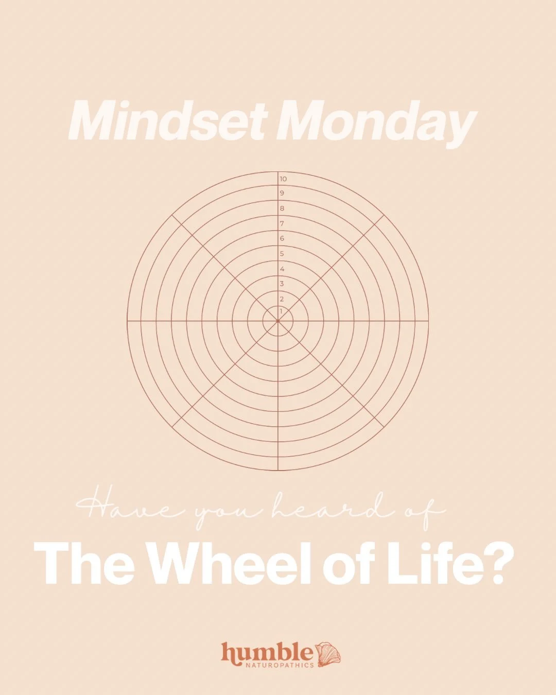 The start of a new year can trigger all sorts of wild goal setting - but maybe you&rsquo;ve only ever thought about diet and exercise goals because it&rsquo;s what is marketed so heavily at the start of a new year 🤔

There are many facets to a life 