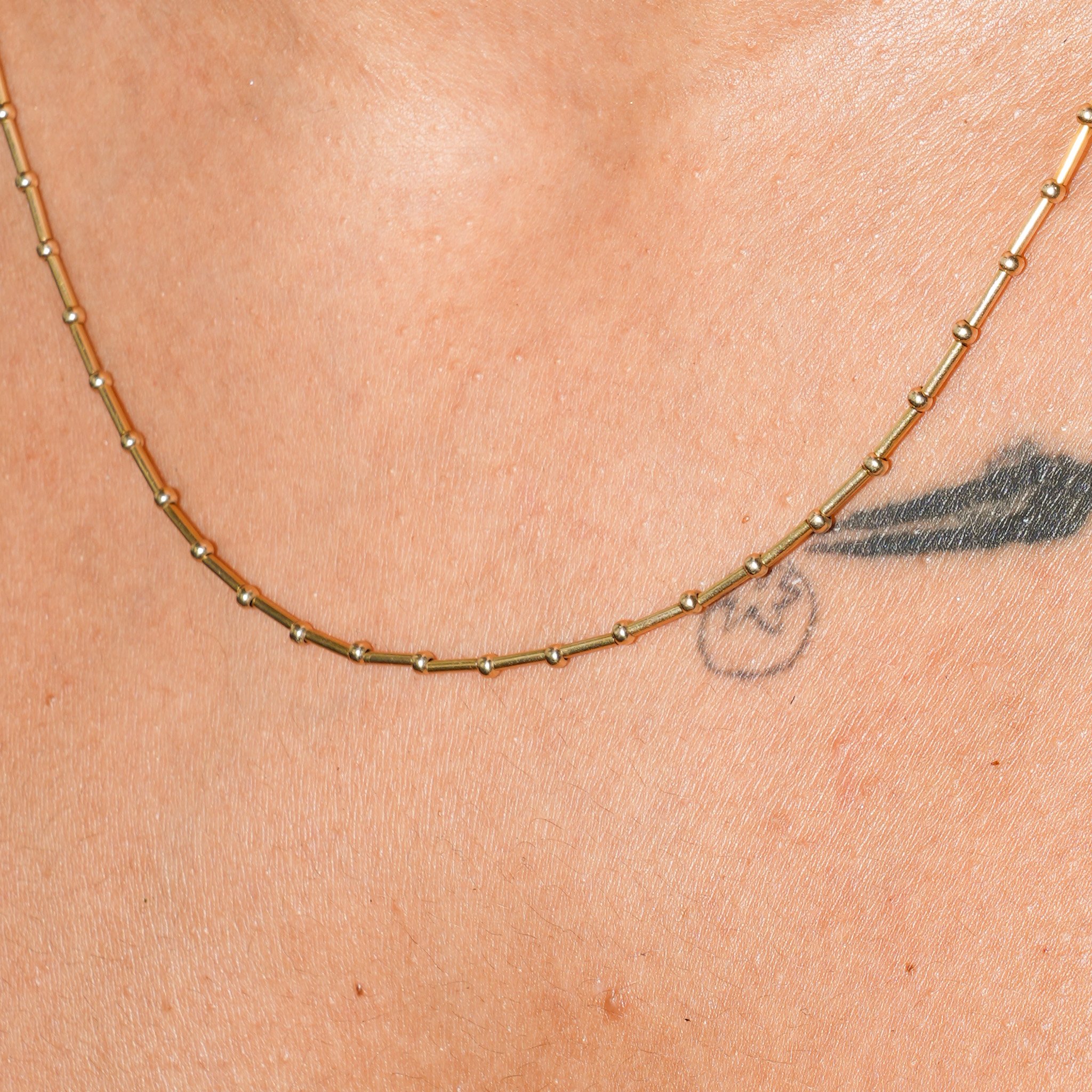Dotty2_gf_on neck2.JPG