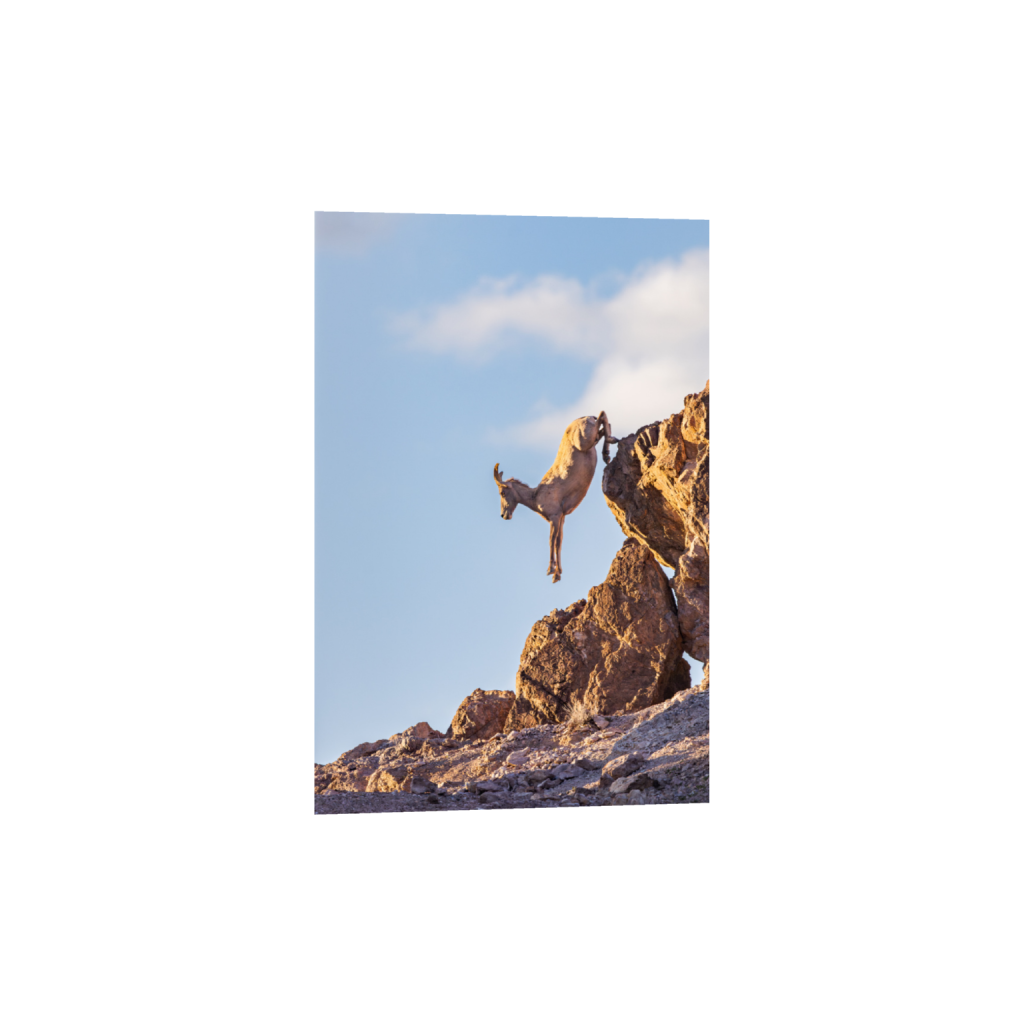 ptq_1_3_0_0_2676_4014_0_false_ffffff_0_0_.png